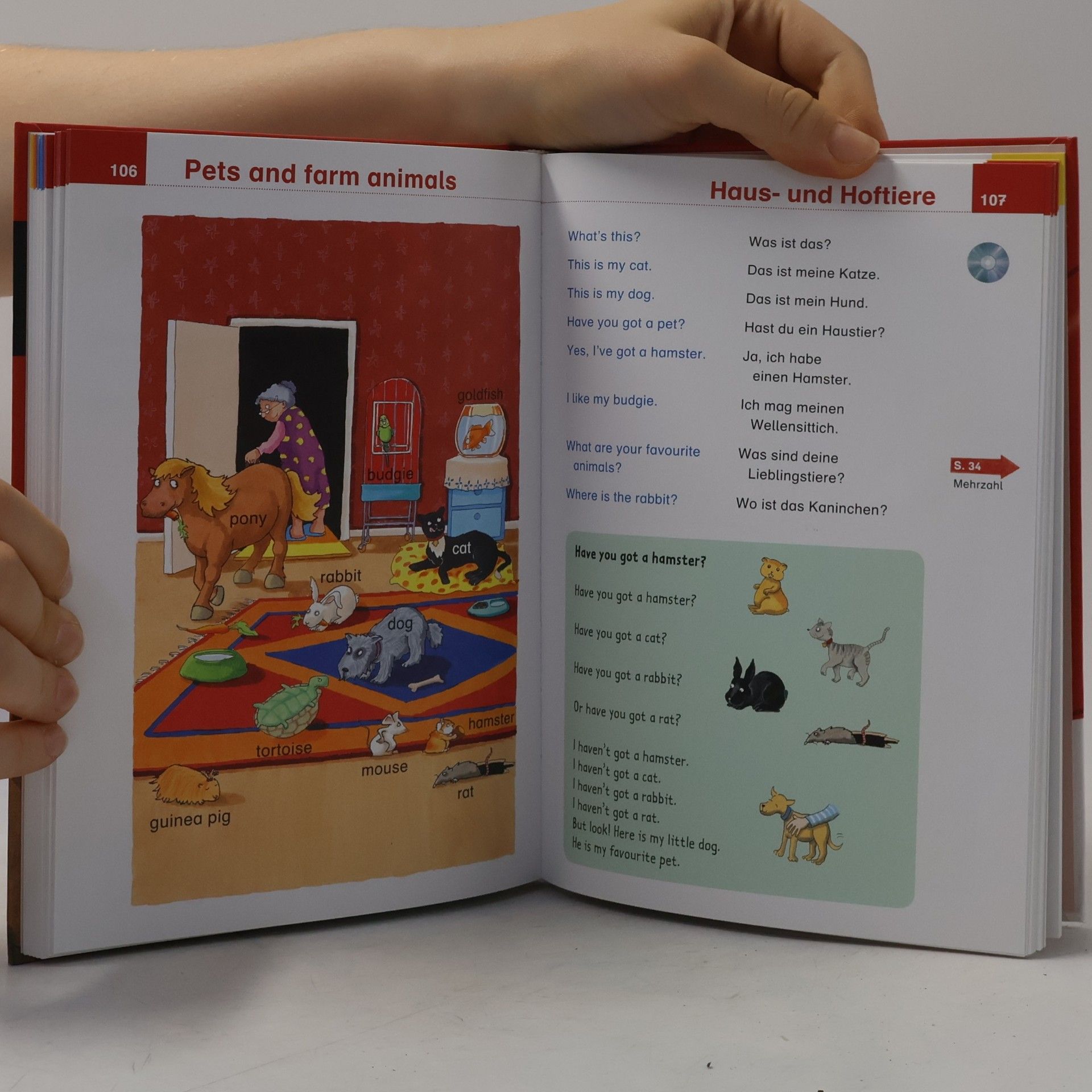 Autorenkollektiv Duden. Basiswissen Grundschule