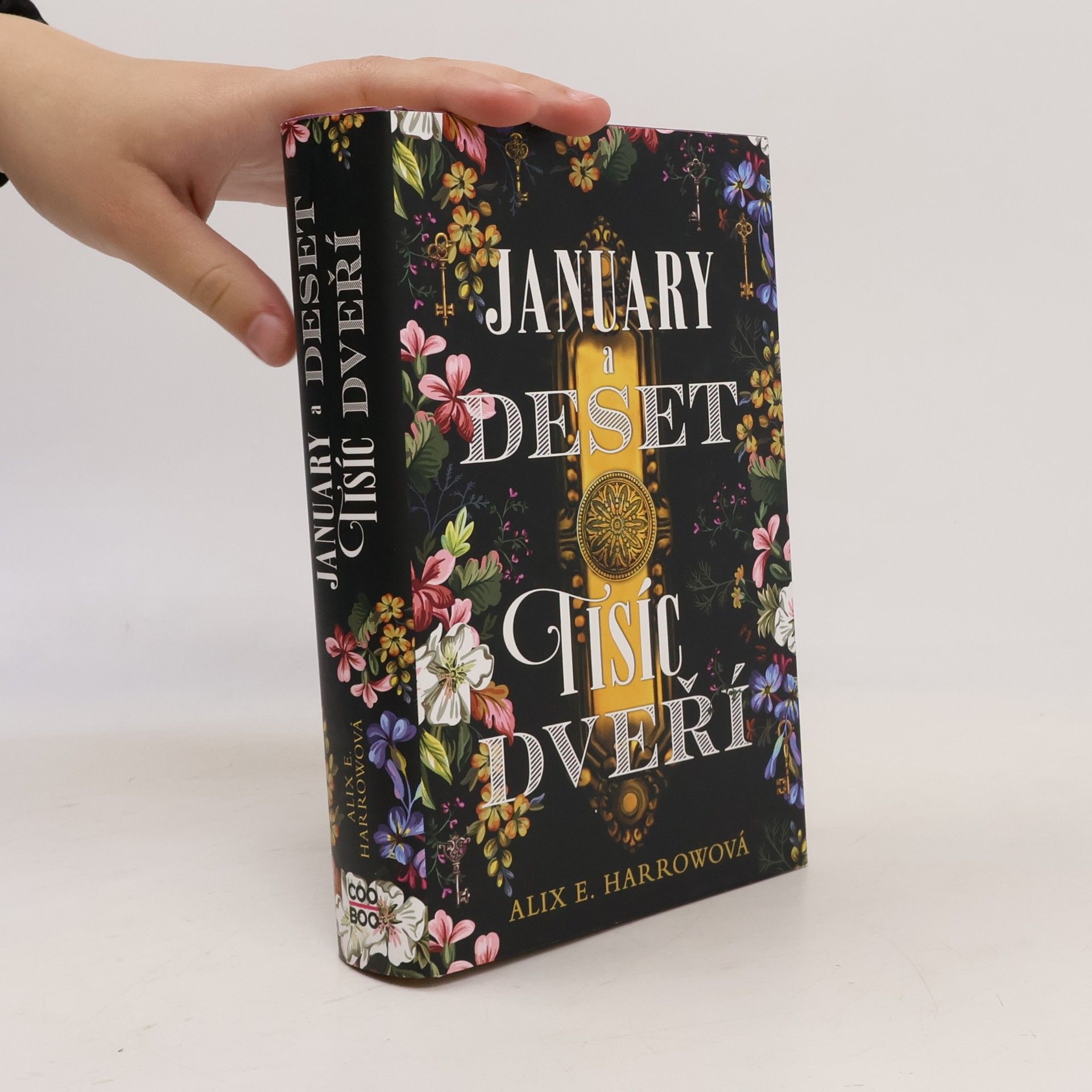 Alix E. Harrow January a Deset tisíc dveří