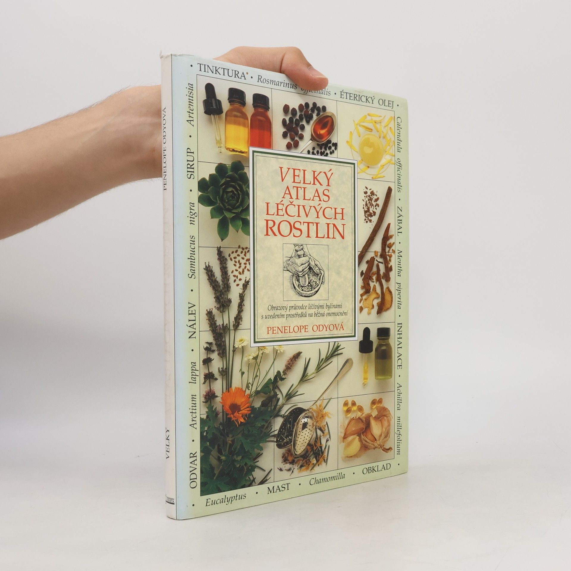 Penelope Ody Velký atlas léčivých rostlin