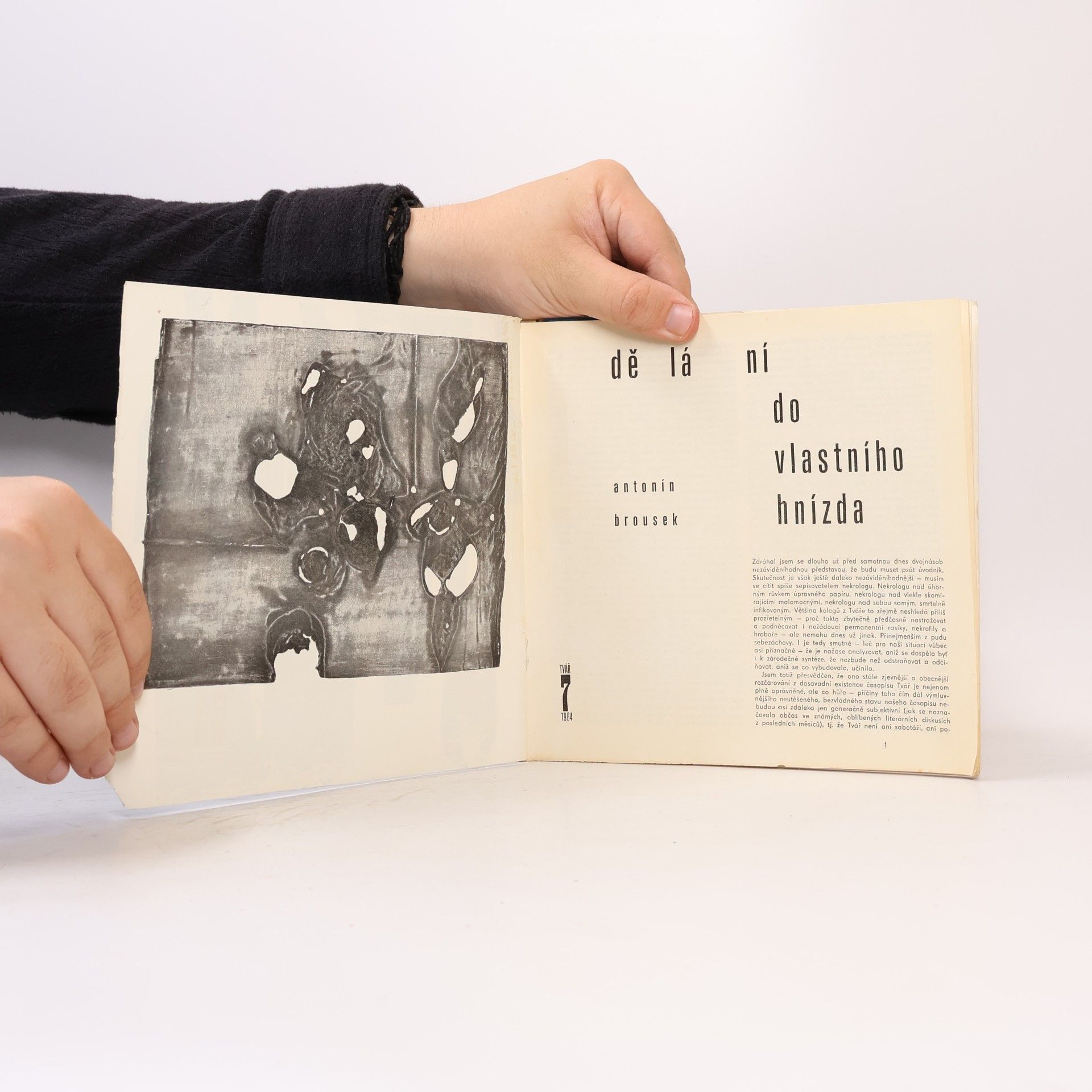 Various authors Tvář 7/64