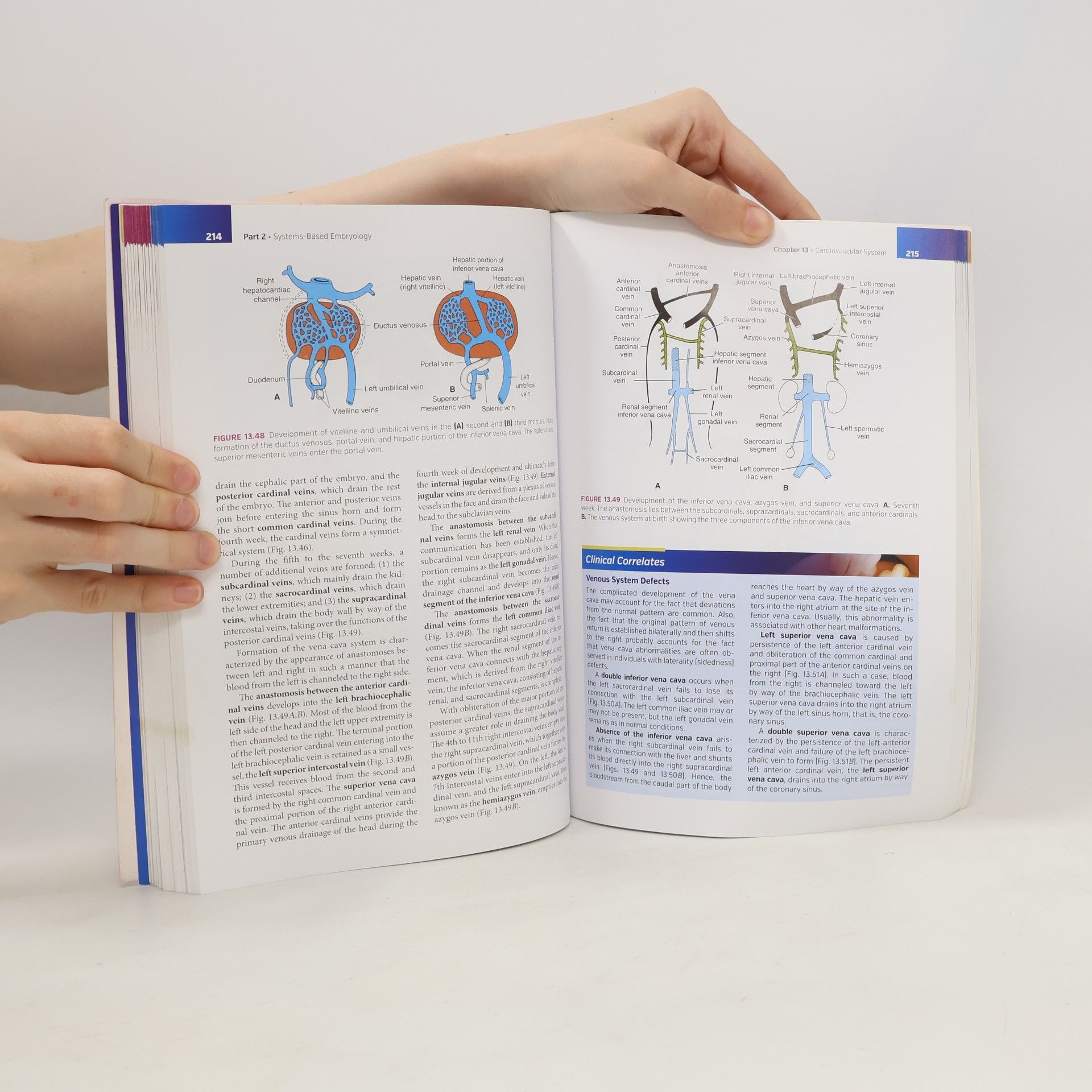 Thomas W. Sadler Langman's Medical Embryology