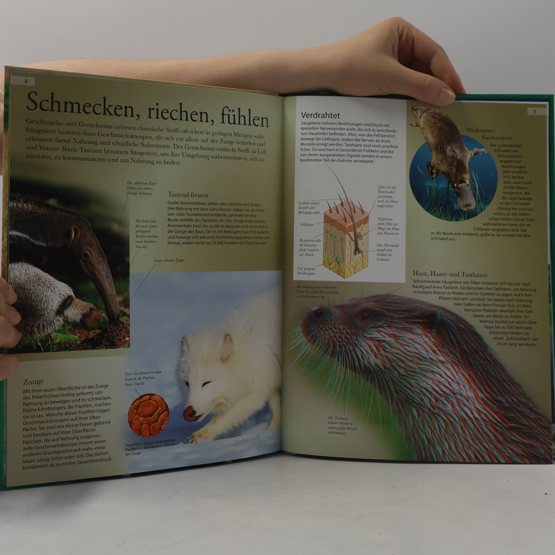 Various authors Lexikon der Tiere