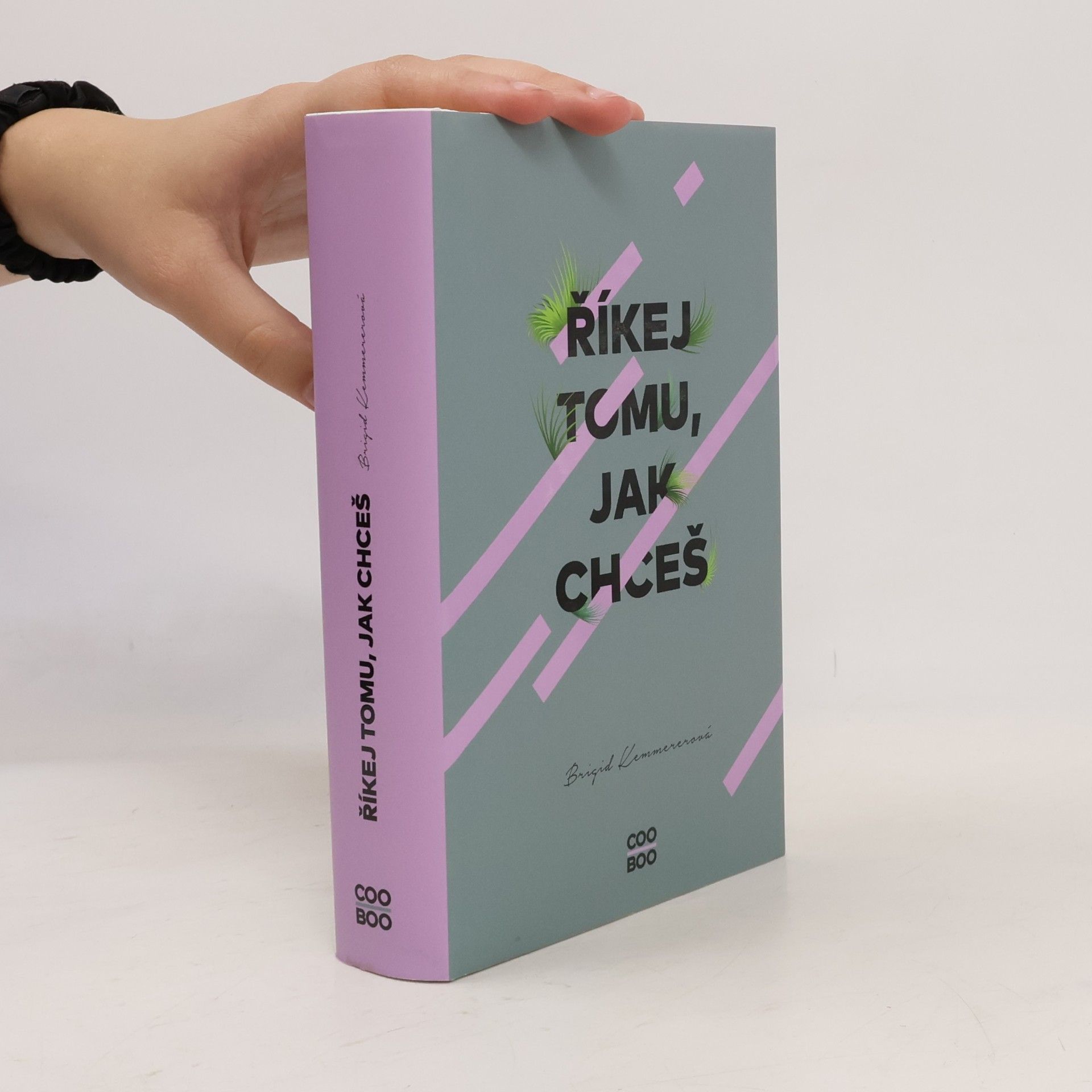 Brigid Kemmerer Říkej tomu, jak chceš