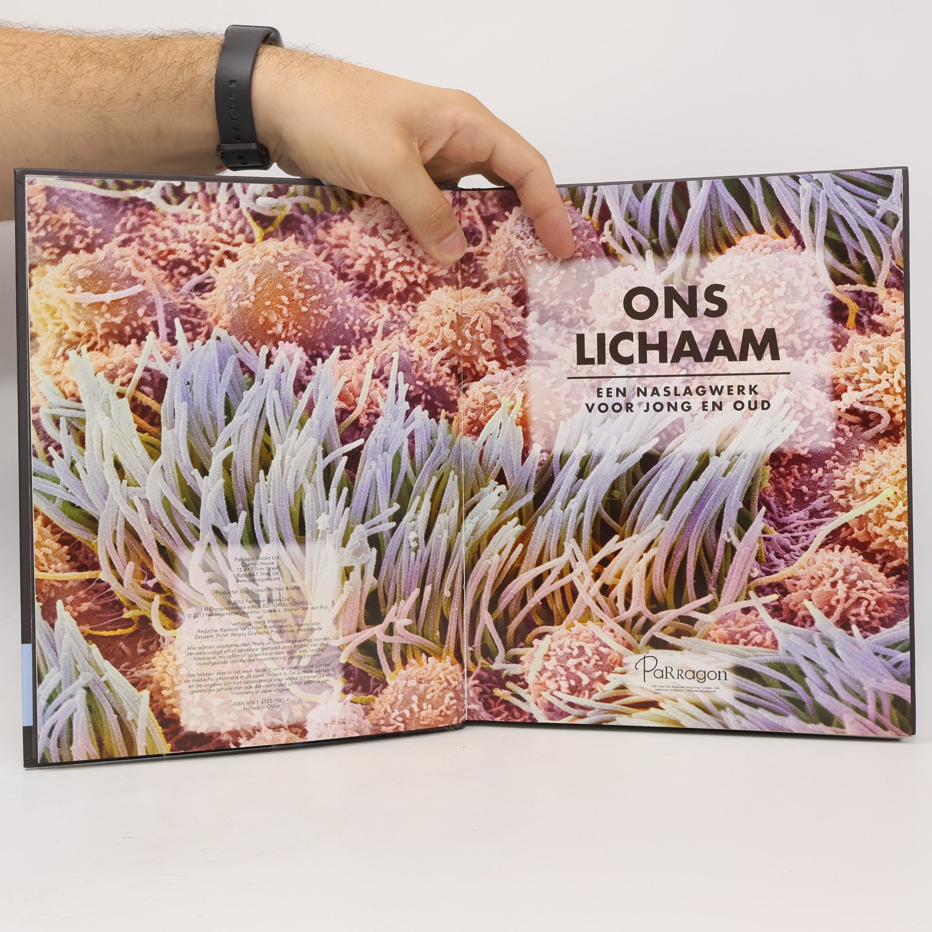 Autores varios Ons Lichaam