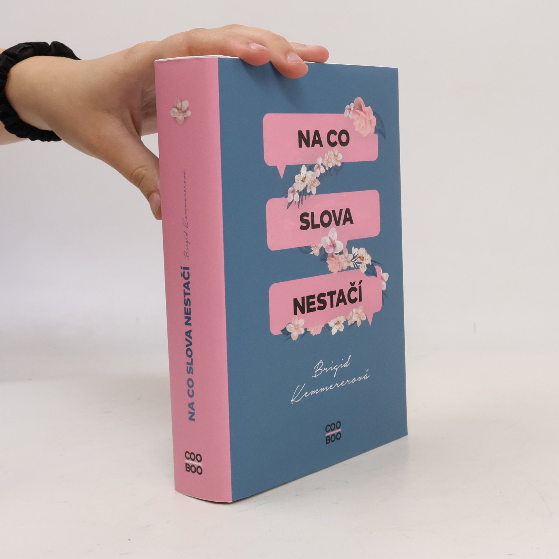 Brigid Kemmerer Na co slova nestačí