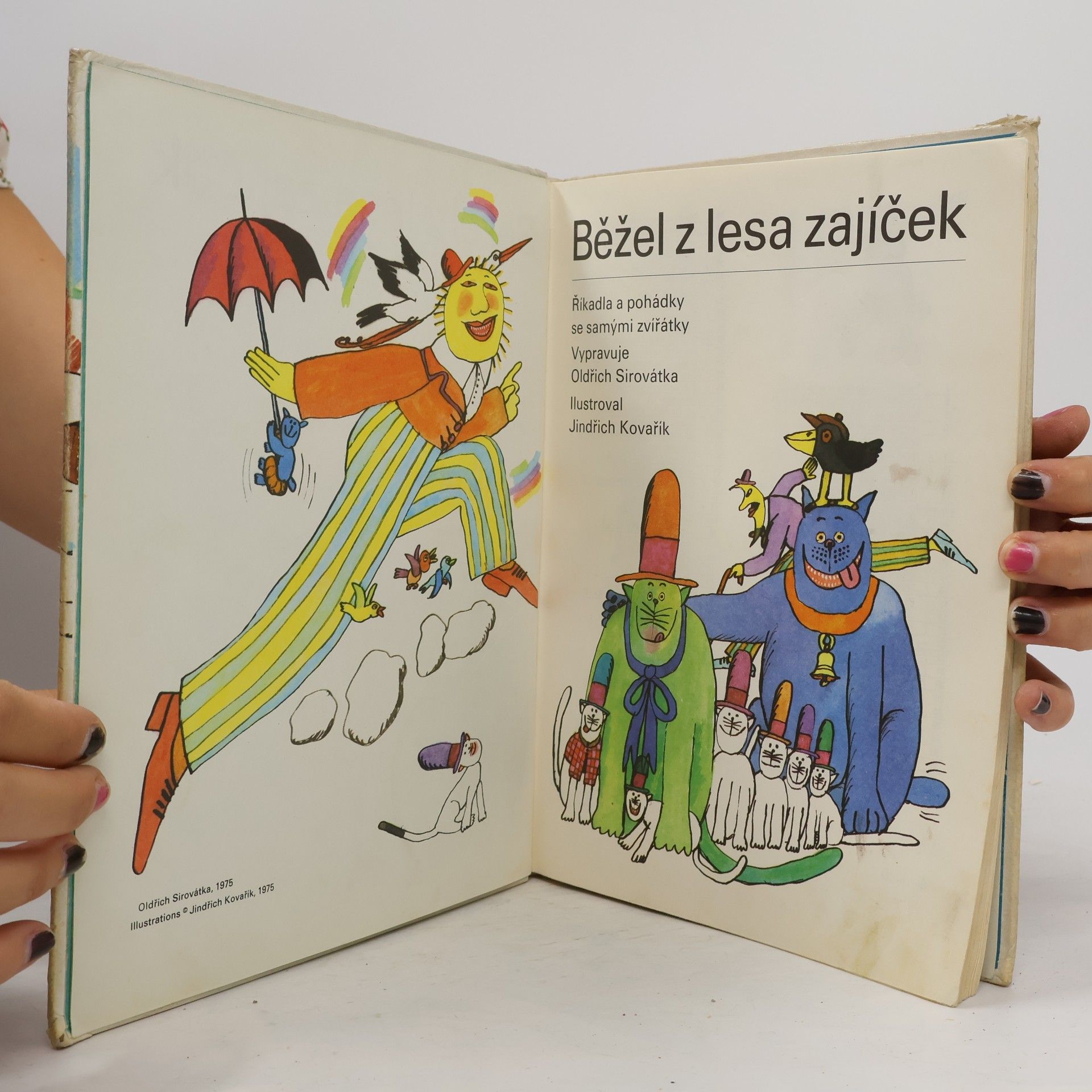 Oldřich Sirovátka Běžel z lesa zajíček