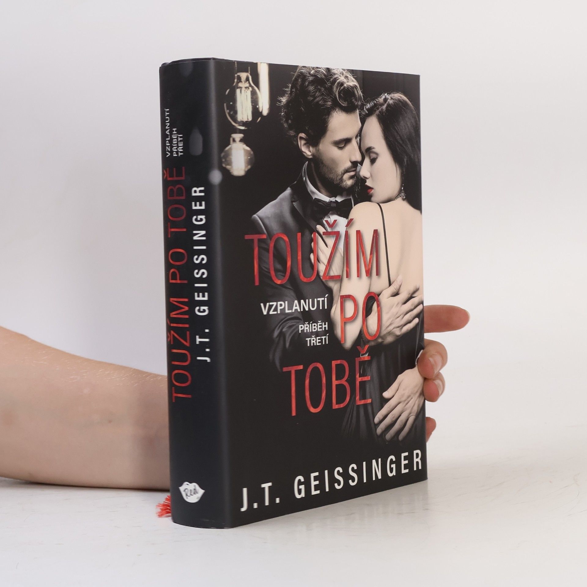 J. T. Geissinger Toužím po tobě