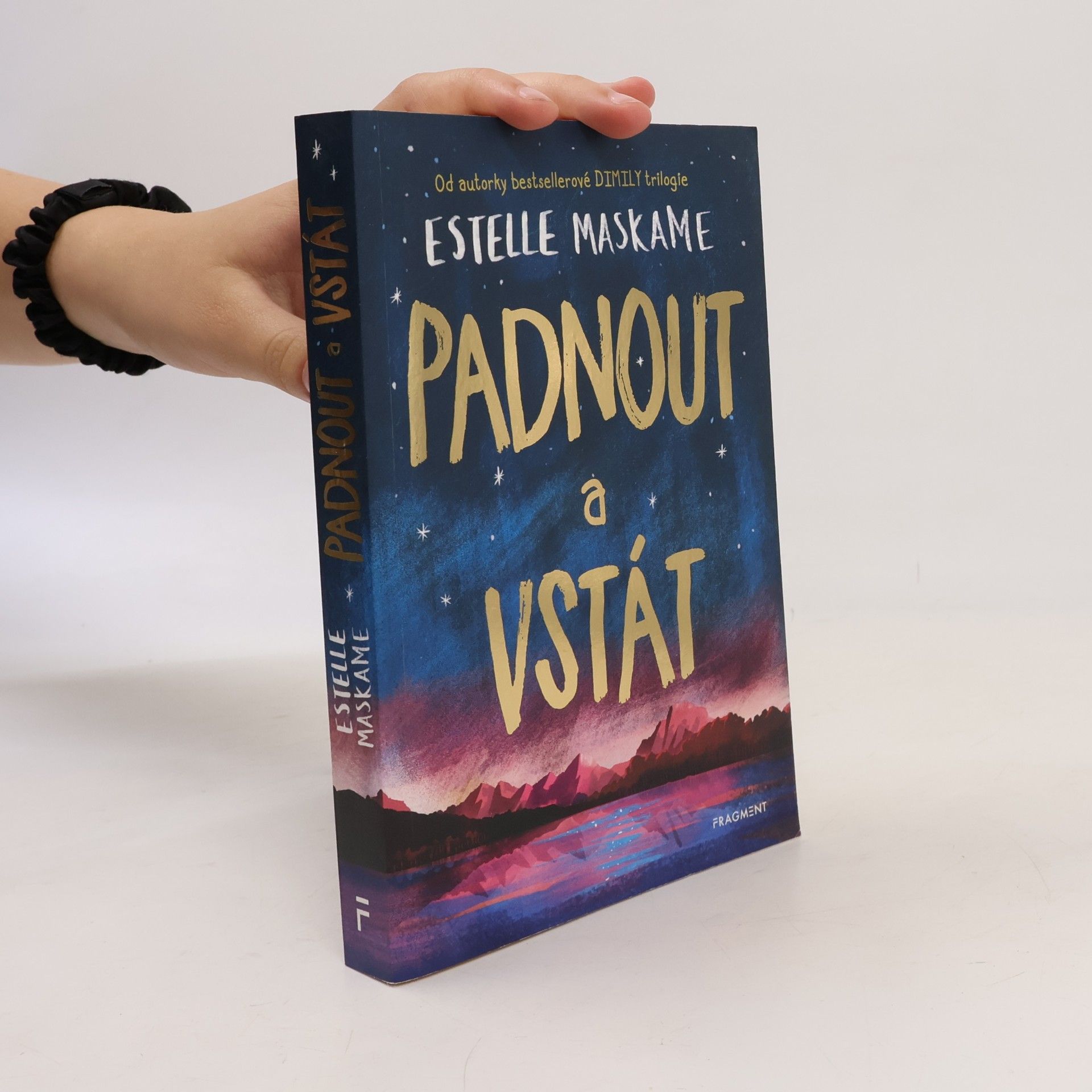 Estelle Maskame Padnout a vstát