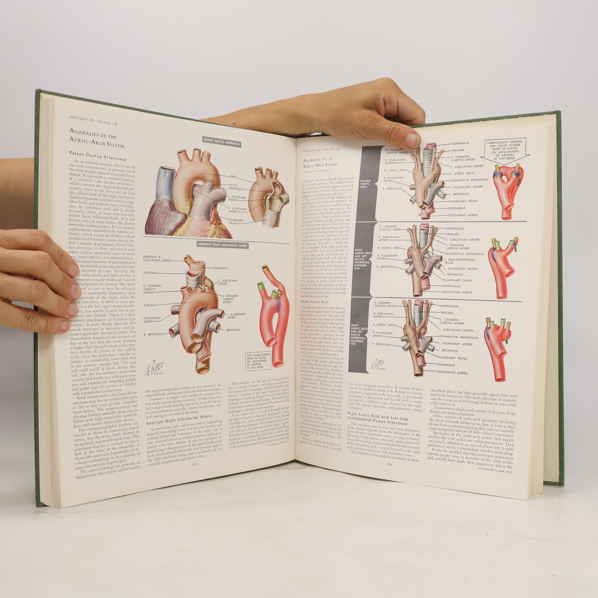 Frank H. Netter The Ciba Collection of Medical Illustrations. Volume 5. Heart