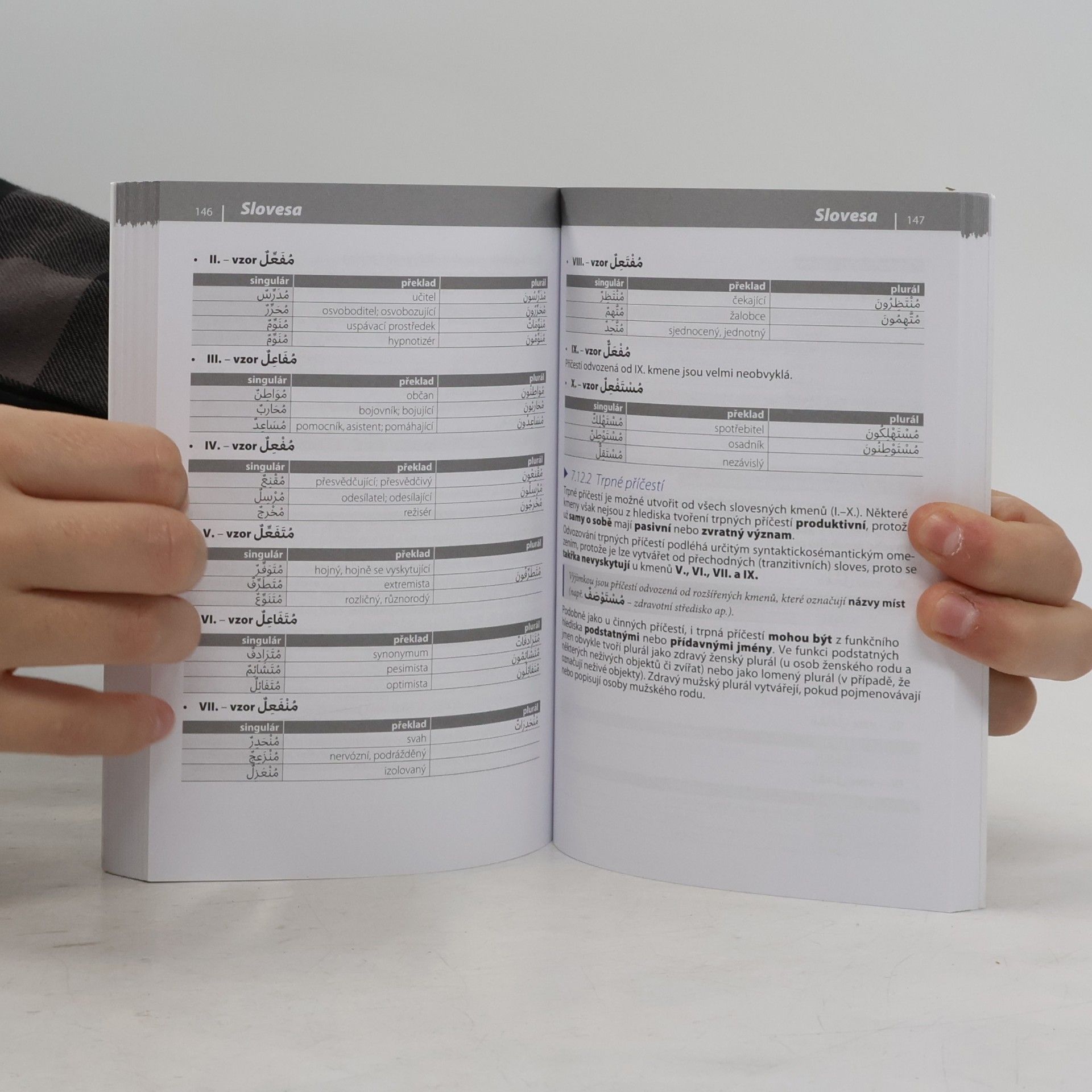 Autorenkollektiv Gramatika současné arabštiny