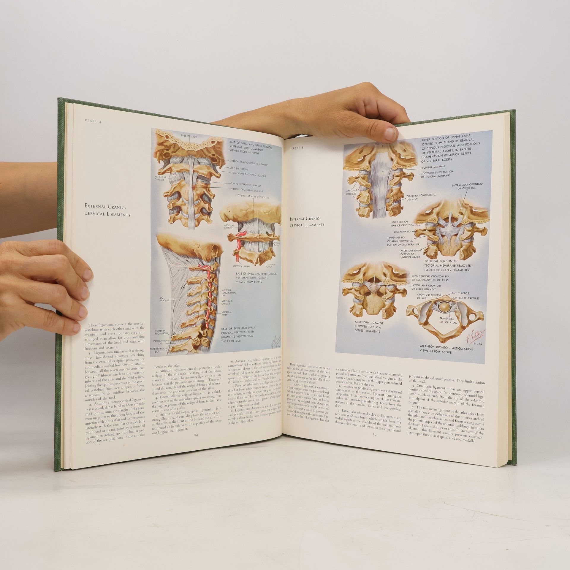 Frank Netter The Ciba Collection of Medical Illustrations 1