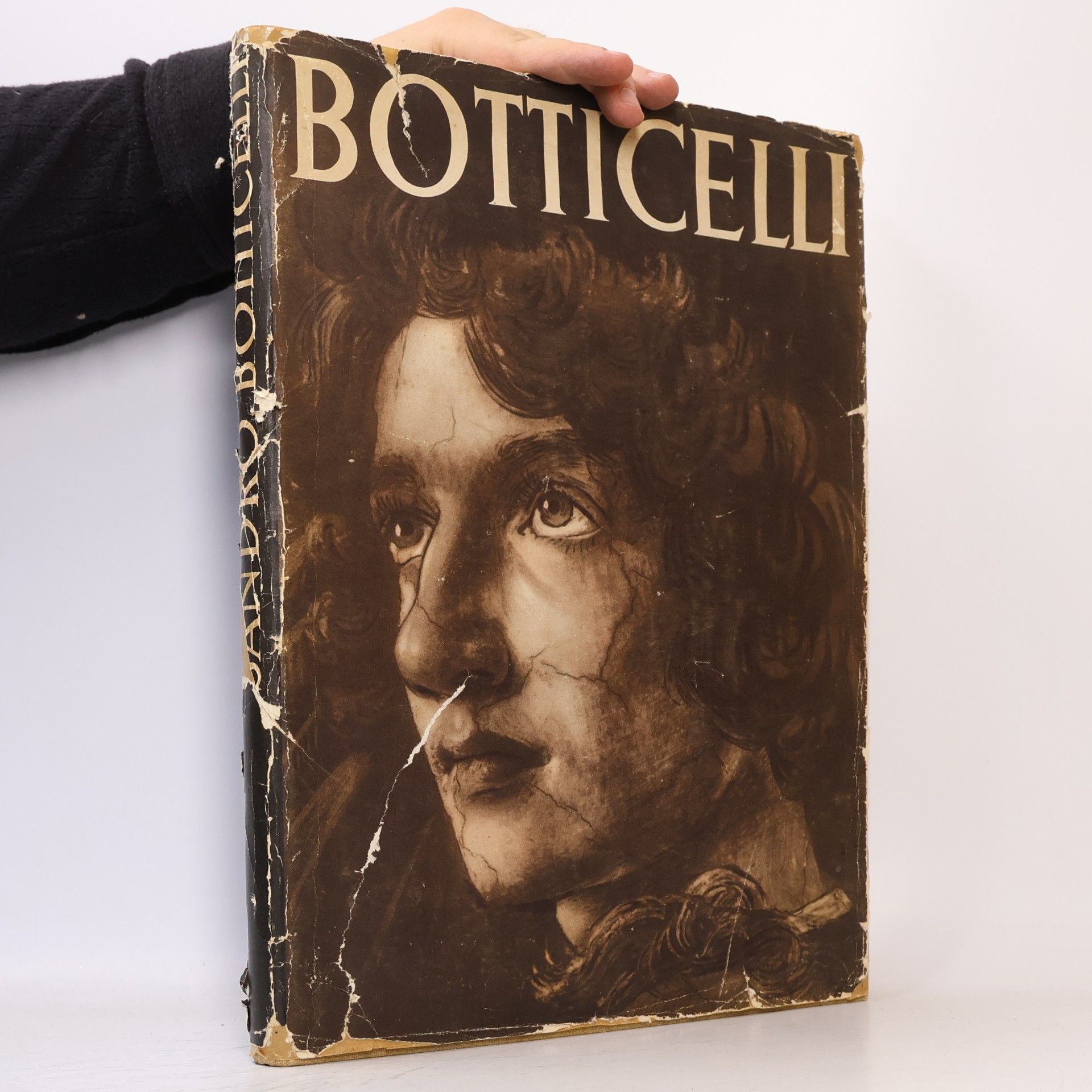 Autorenkollektiv Sandro Botticelli