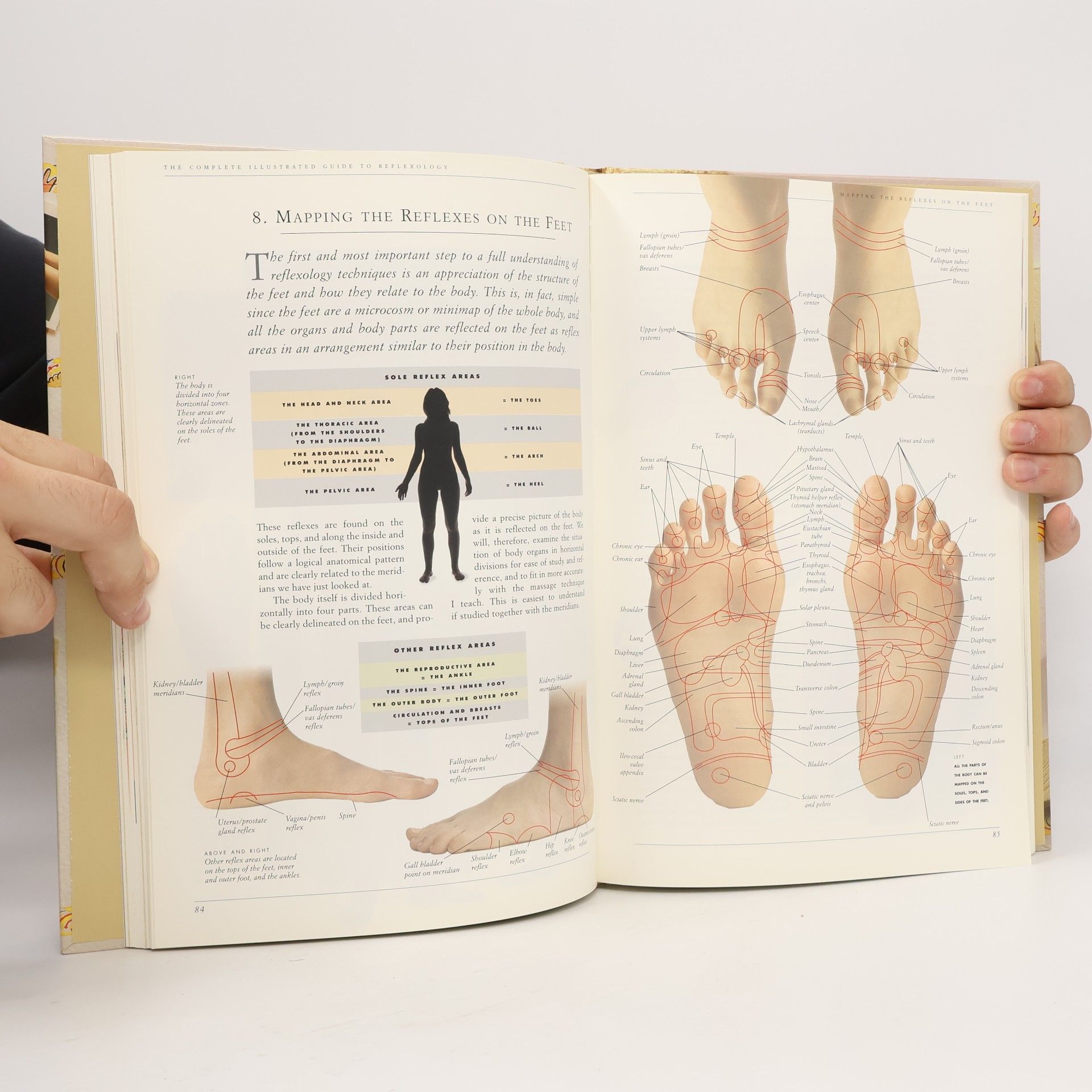 Inge Dougans The Complete Illustrated Guide to Reflexology