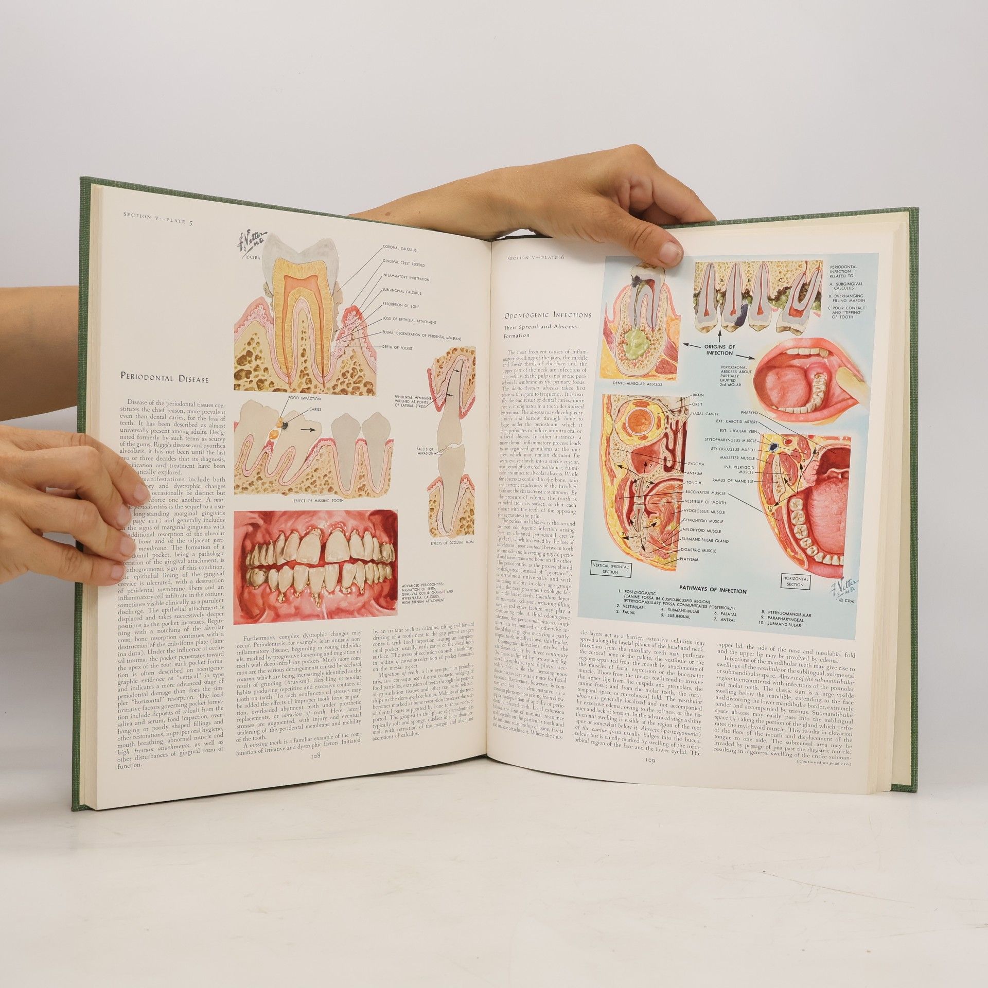 Various authors The CIBA Collection Of Medical Illustrations. Volume 3