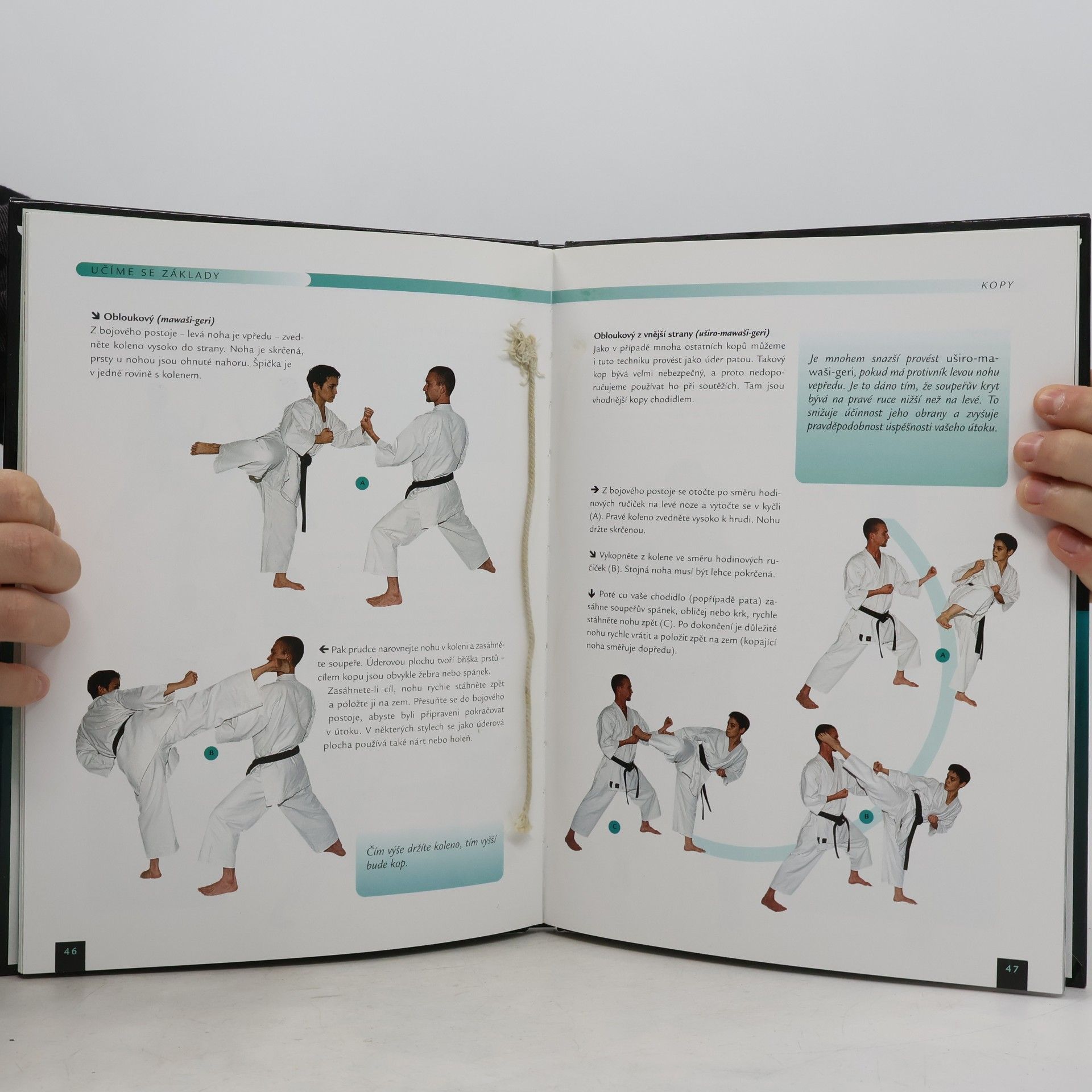 Sanette Smit Karate. Průvodce bojovým uměním