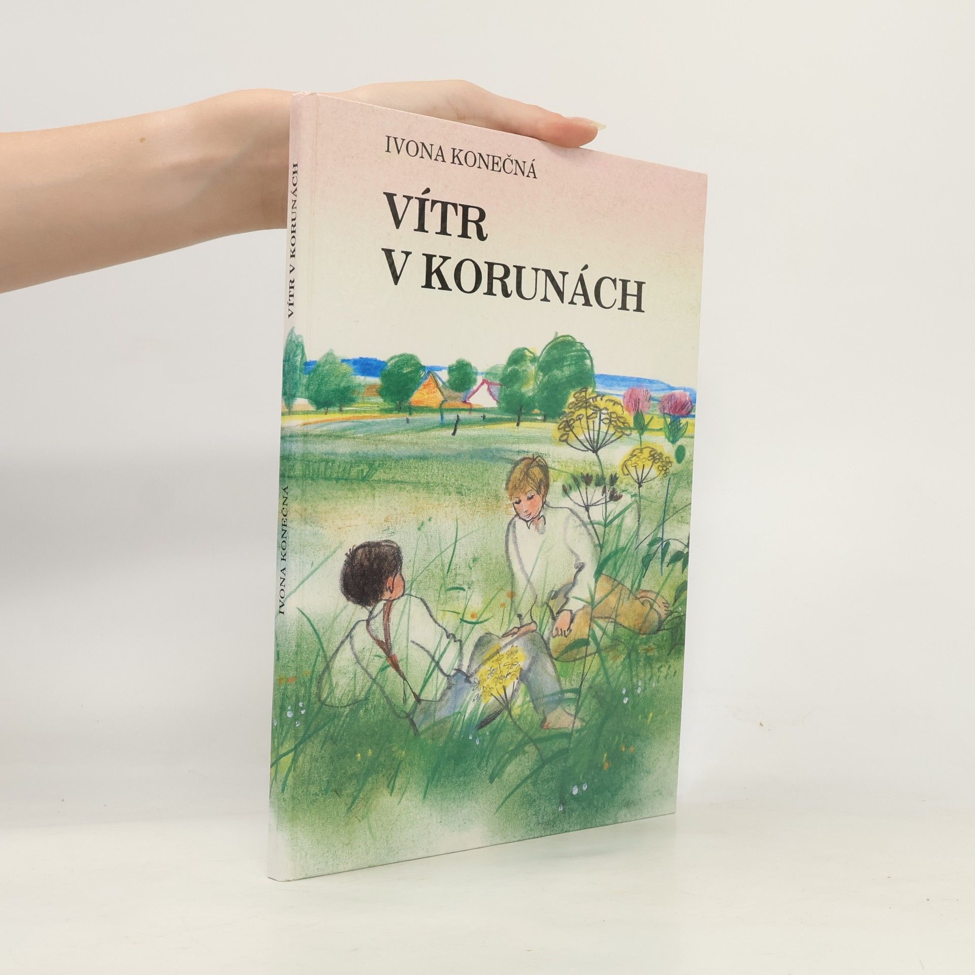 Vítr v korunách