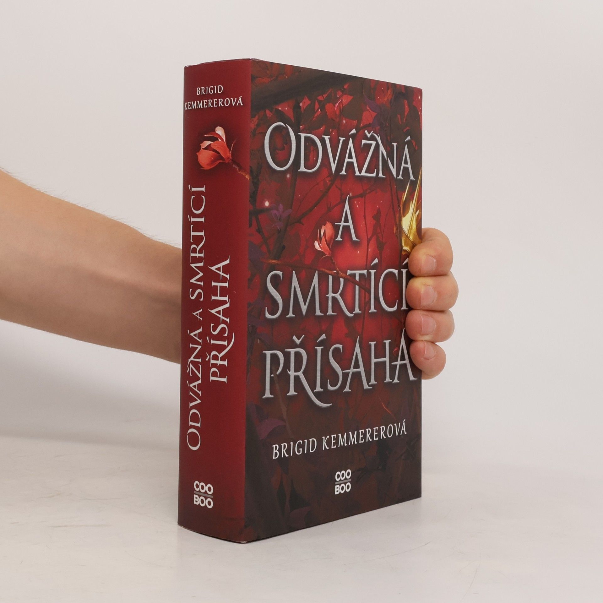 Brigid Kemmerer Odvážná a smrtící přísaha