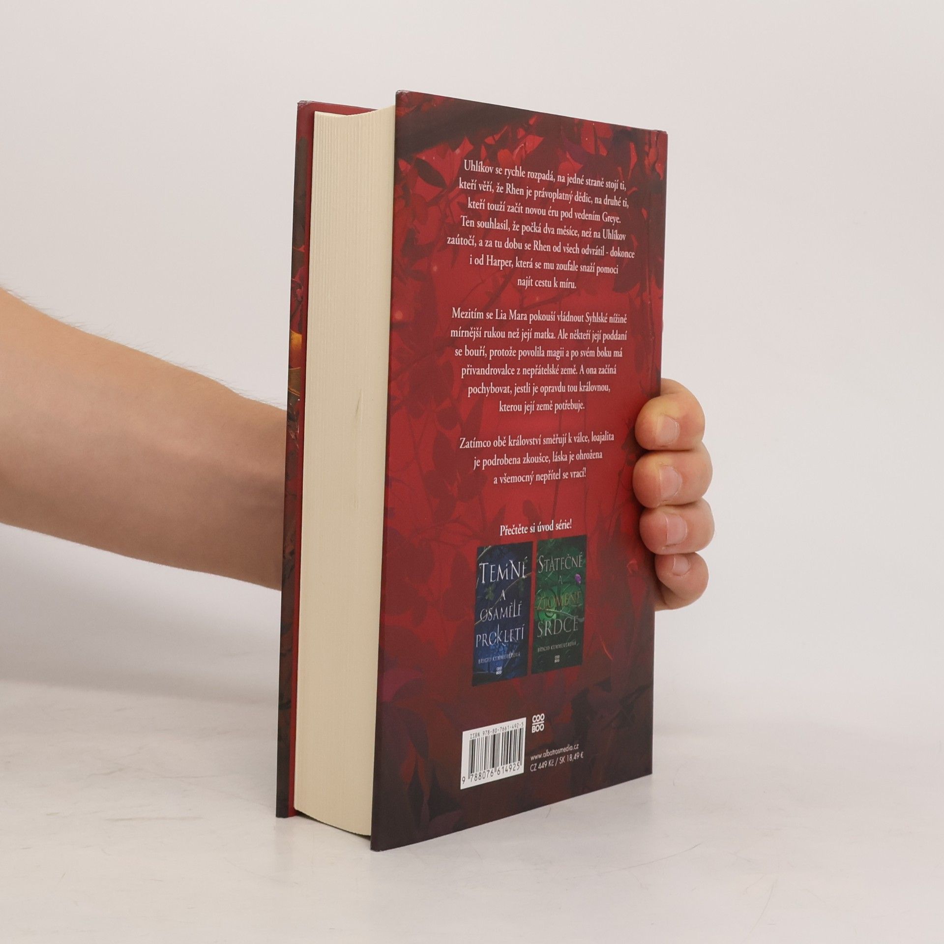 Brigid Kemmerer Odvážná a smrtící přísaha