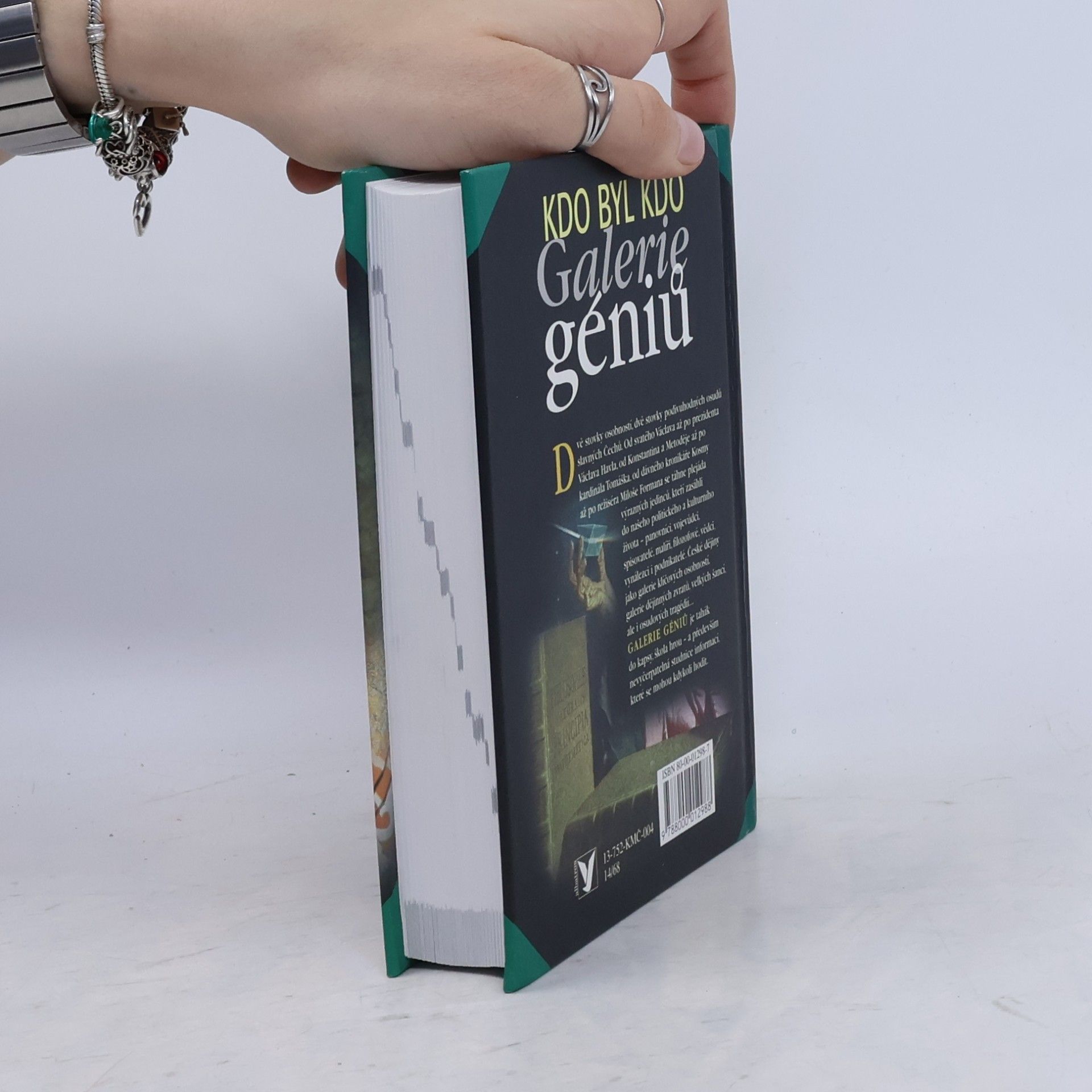 Vít Haškovec Galerie géniů, aneb, Kdo byl kdo