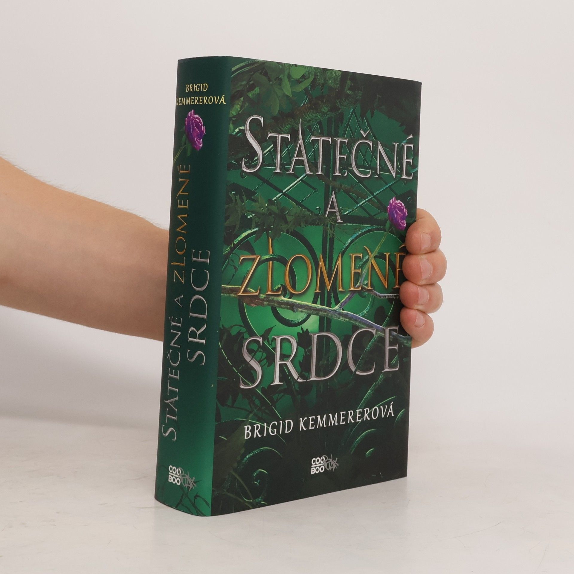 Brigid Kemmerer Statečné a zlomené srdce