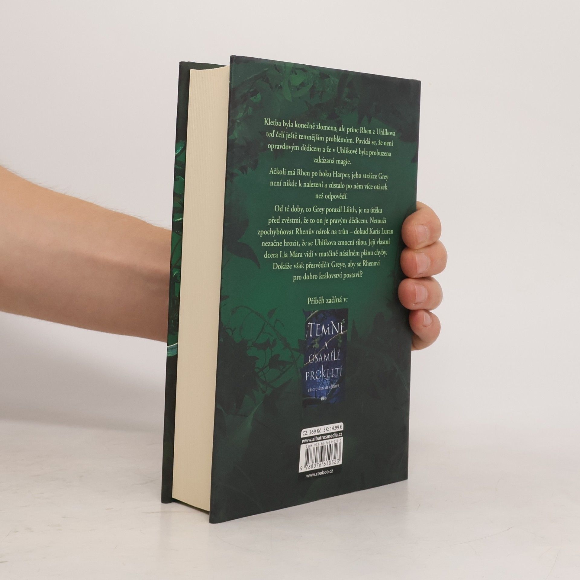 Brigid Kemmerer Statečné a zlomené srdce