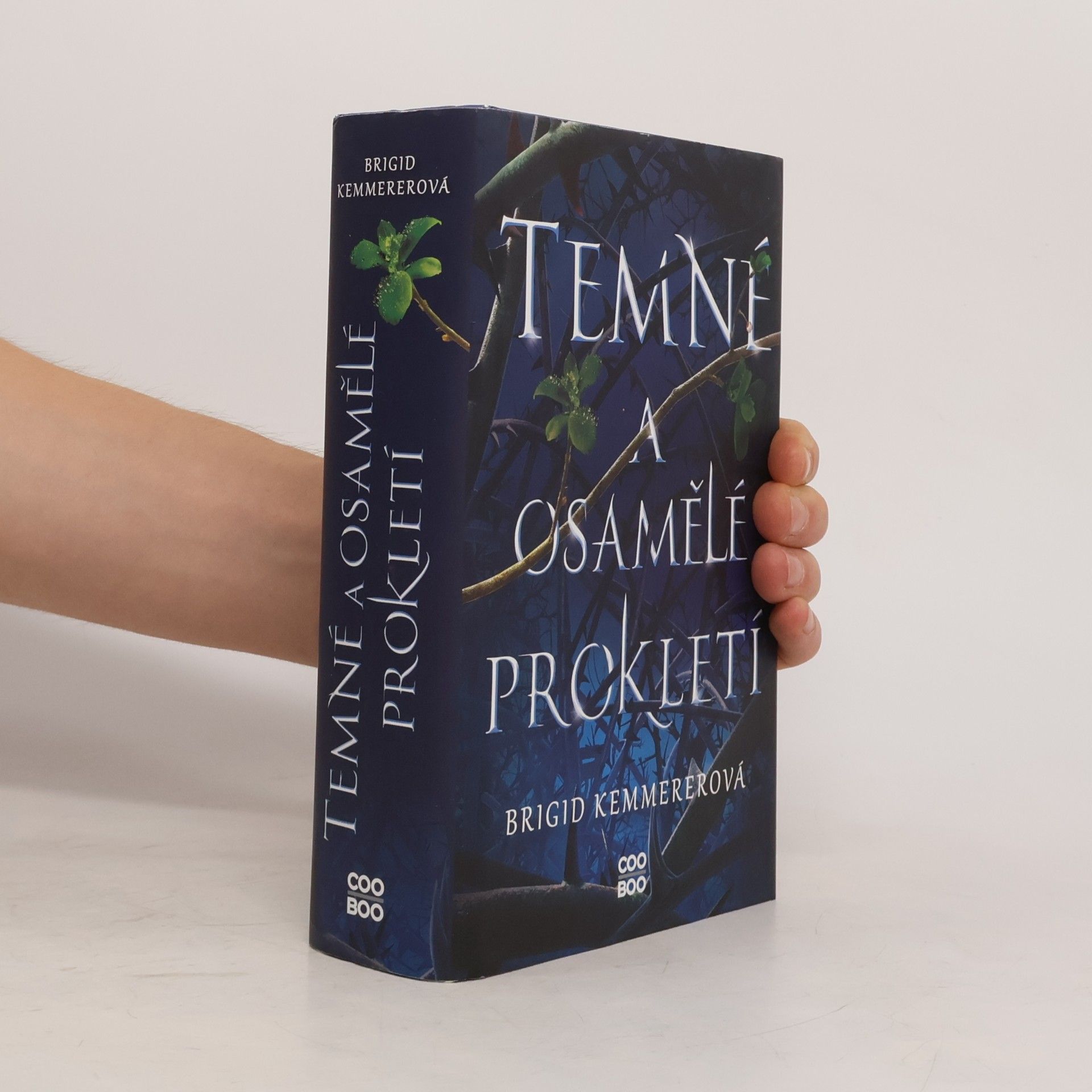 Brigid Kemmerer Temné a osamělé prokletí