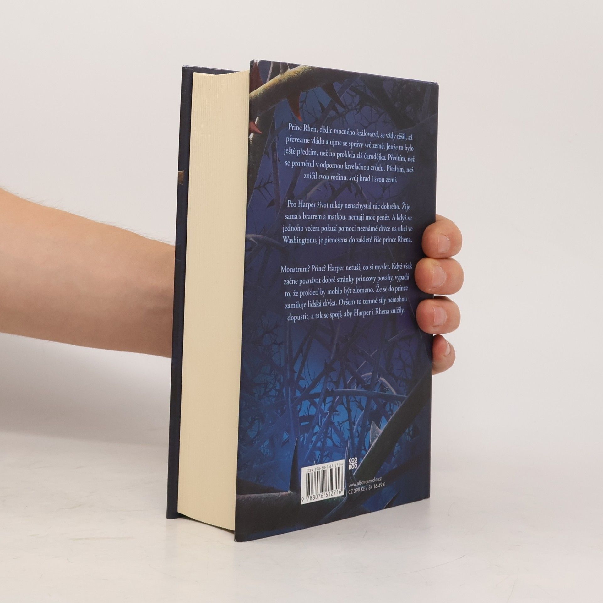 Brigid Kemmerer Temné a osamělé prokletí