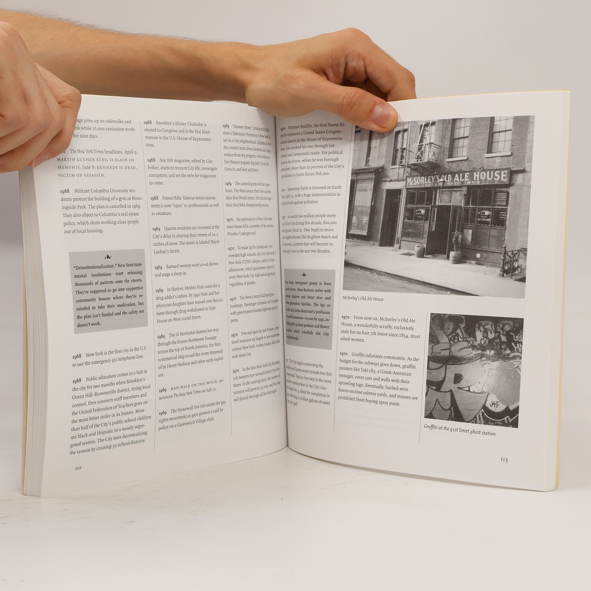 Jane Mushabac A Short and Remarkable History of New York City