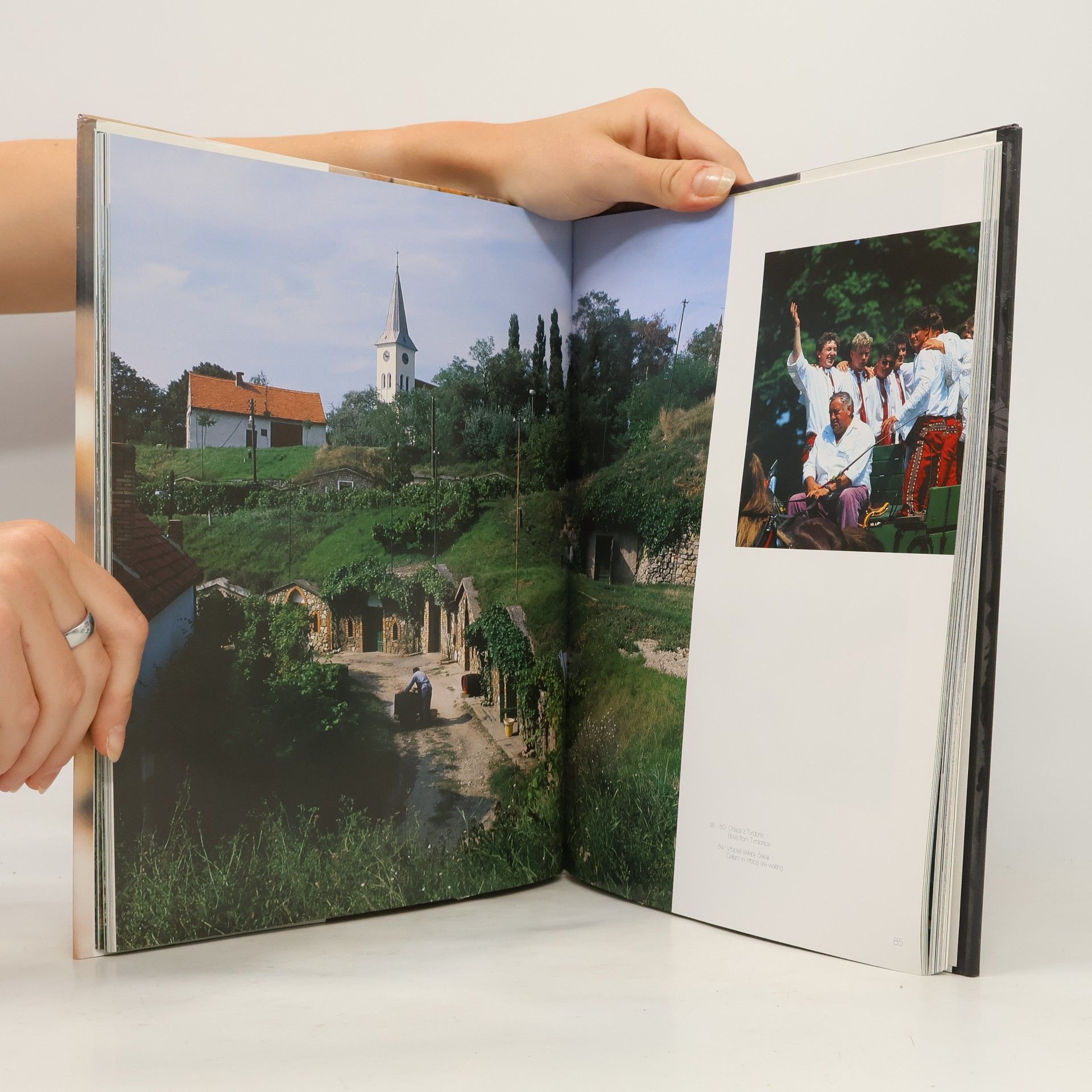 Collectif d'auteurs Krajina révového listu