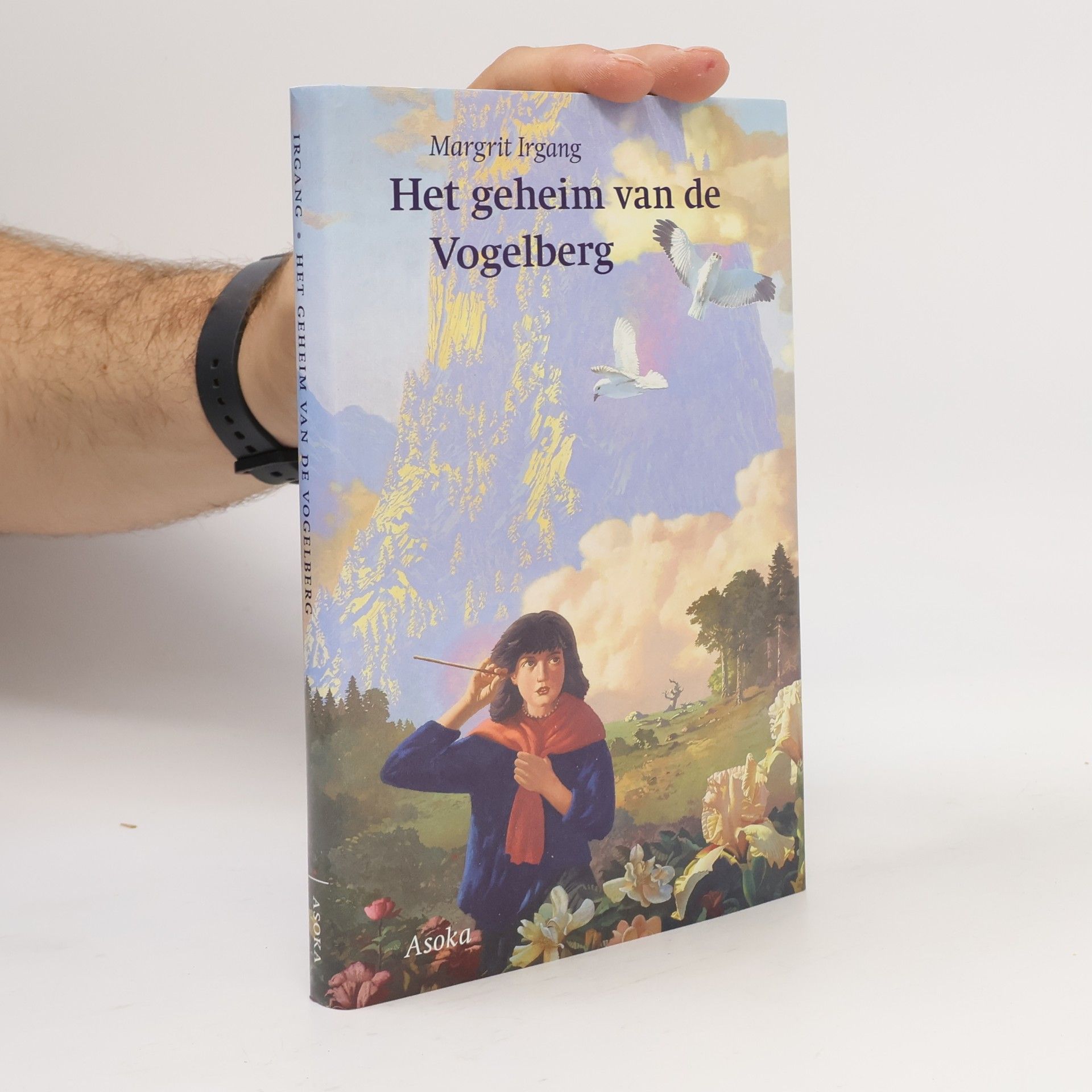 Margrit Irgang Het geheim van de Vogelberg