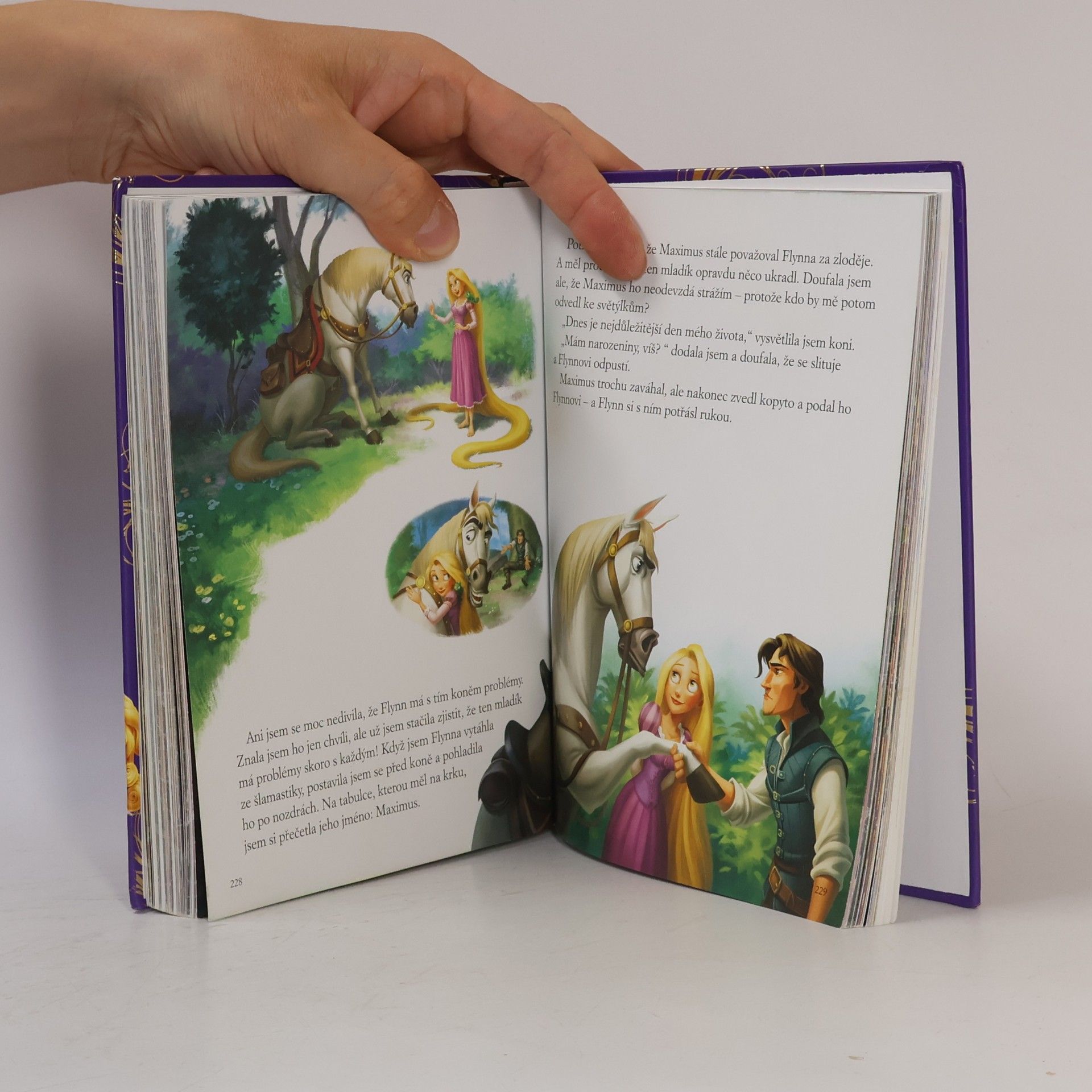 Walt Disney Princezny: Zlatá kniha pohádek