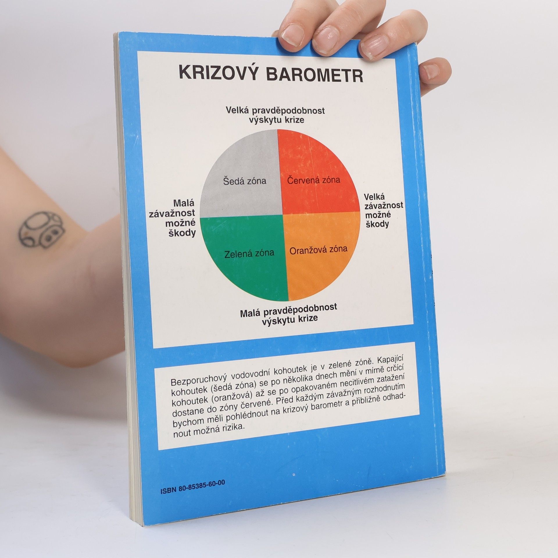 Radkin Honzák Krize v životě, život v krizi