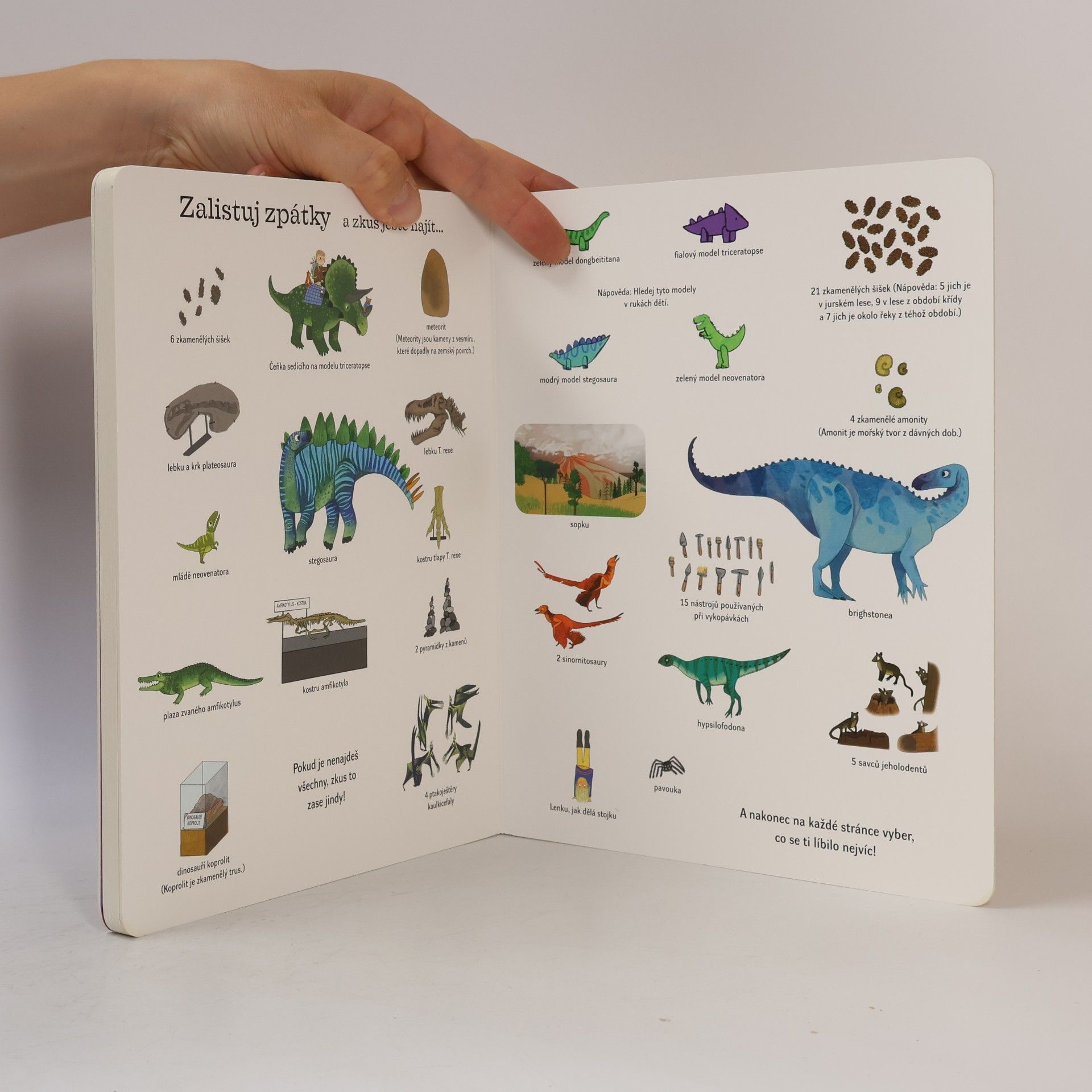 Autorenkollektiv Najdi mé oblíbené dinosaury - Doprovázej postavy při jejich dinosauřím dobrodružství!