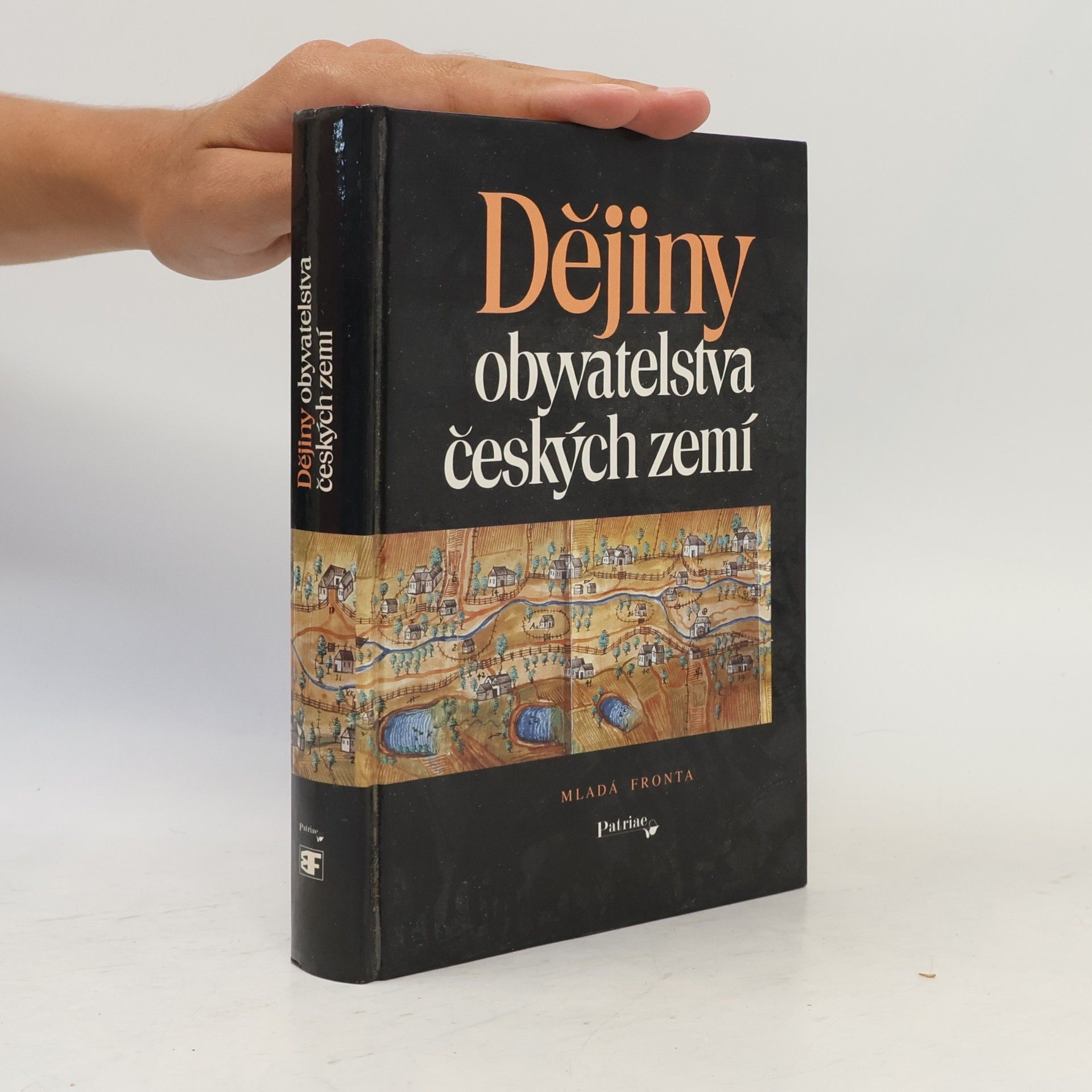 Autorenkollektiv Dějiny obyvatelstva českých zemí