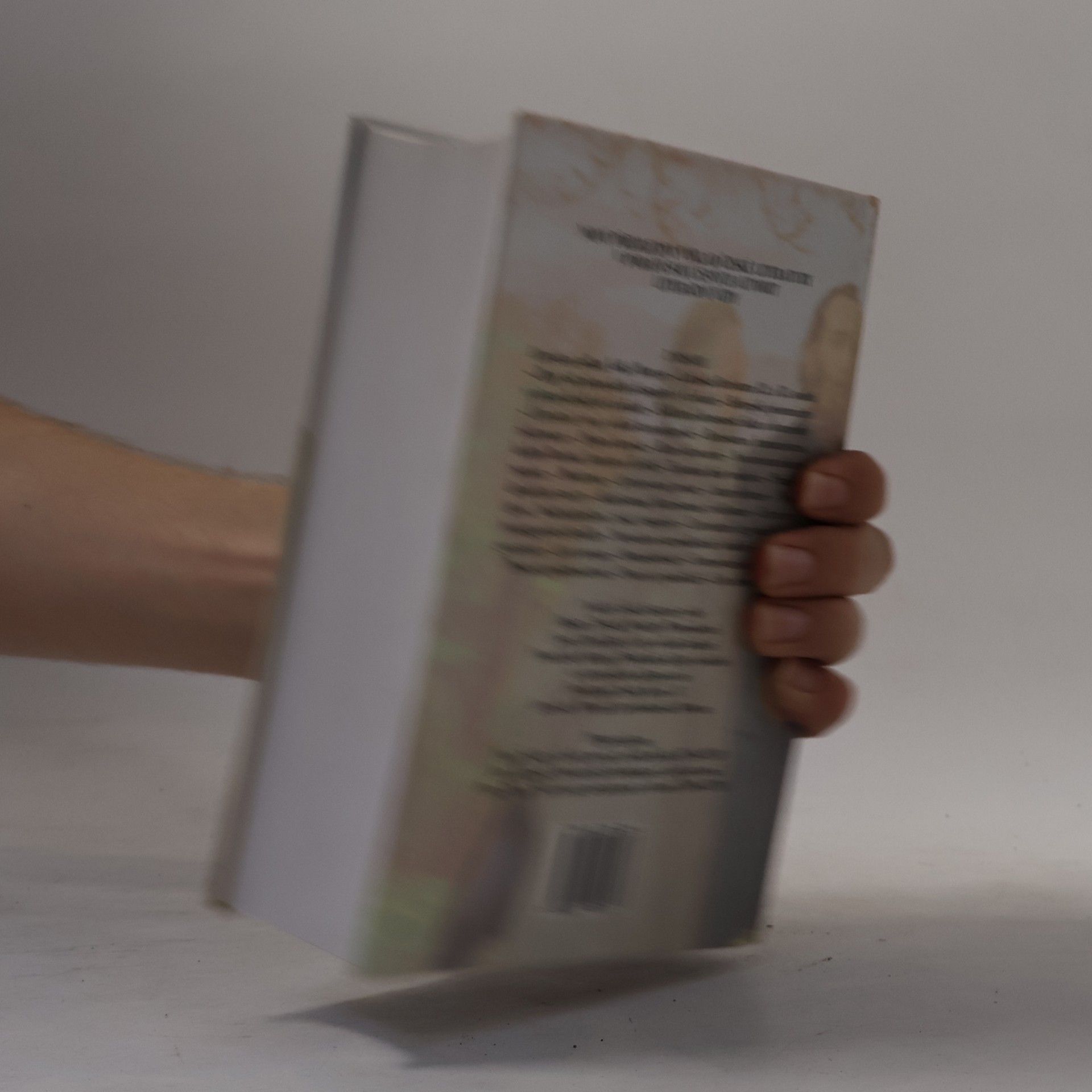 Jiří Holý Česká literatura od počátků k dnešku