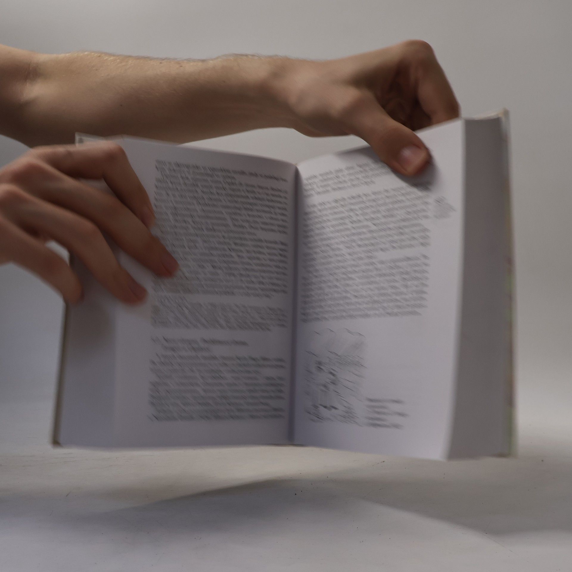 Jiří Holý Česká literatura od počátků k dnešku
