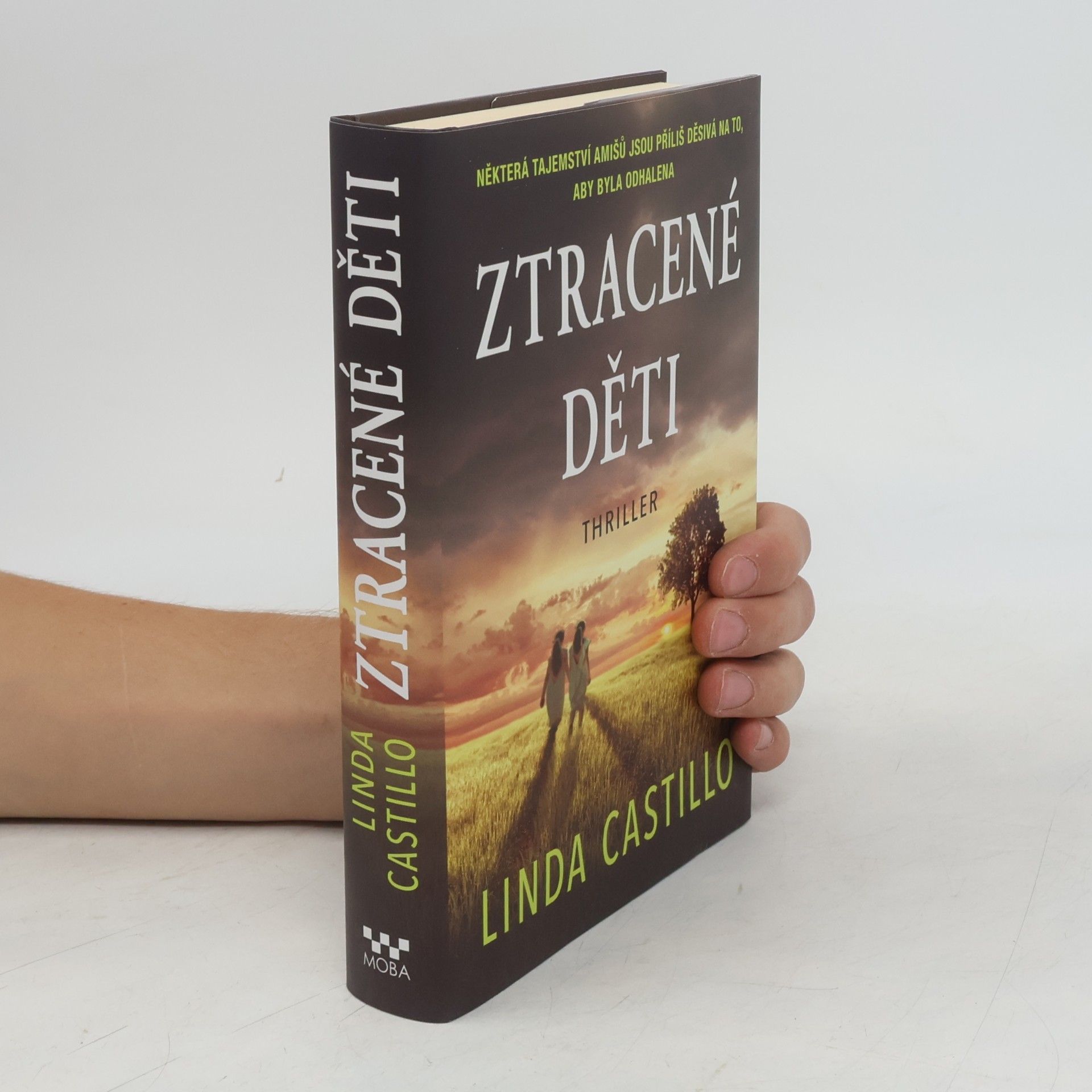 Linda Castillo Ztracené děti