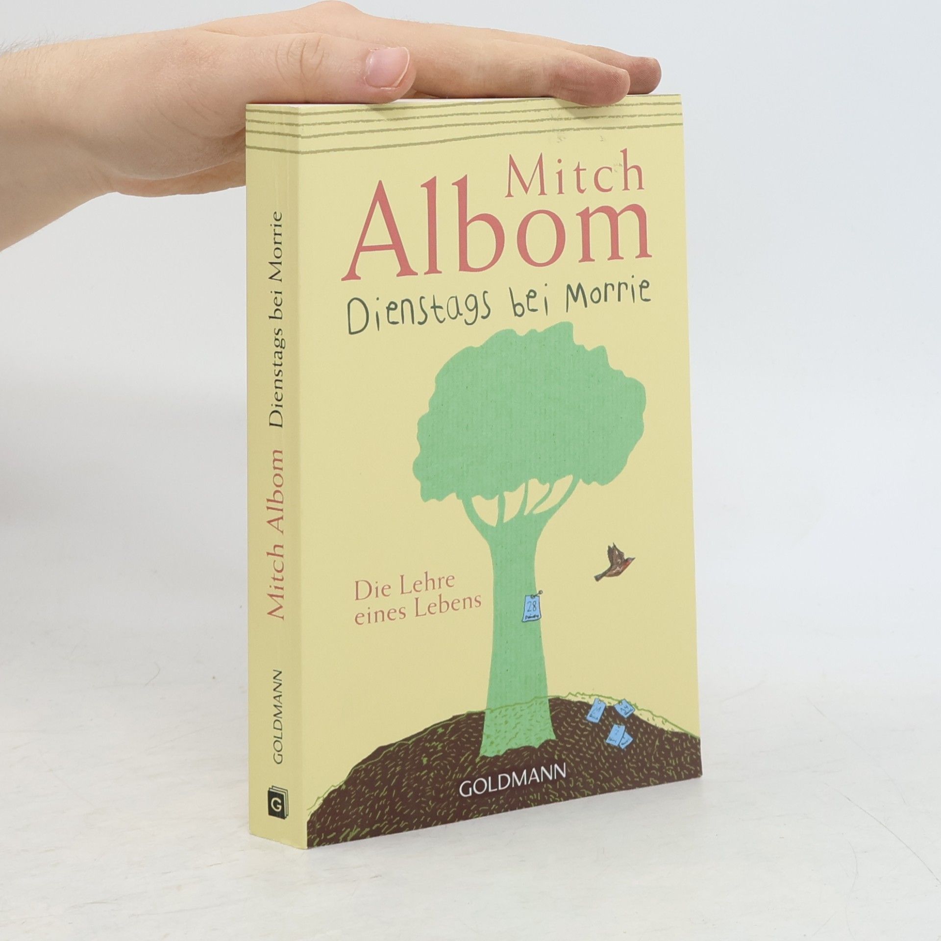 Mitch Albom Dienstags bei Morrie