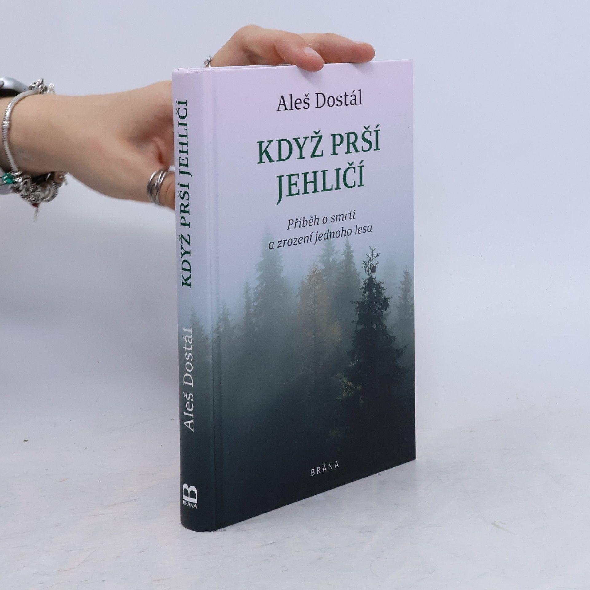 Aleš Dostál Když prší jehličí : příběh o smrti a zrození jednoho lesa