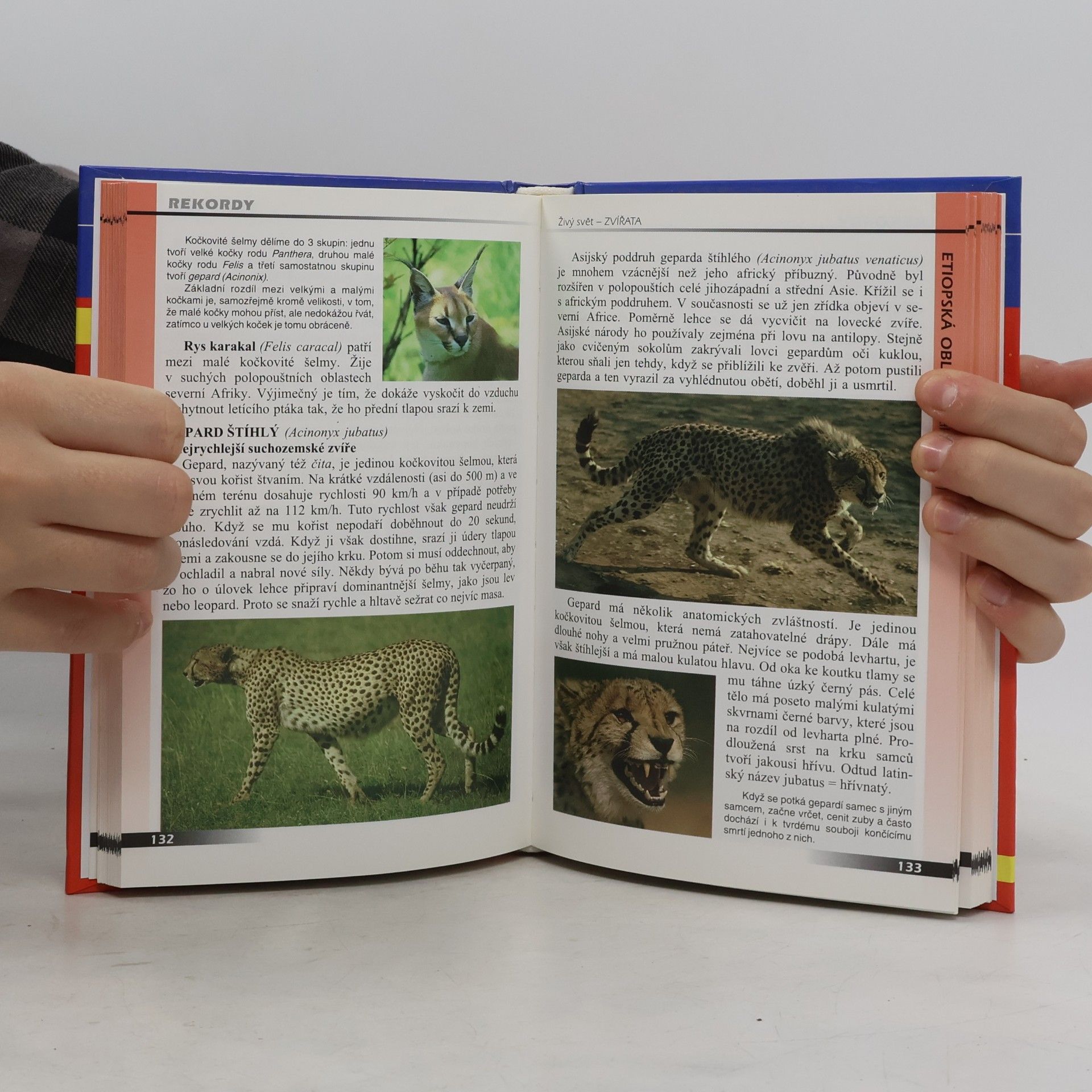 Autorenkollektiv Rekordy. Živý svět. Zvířata