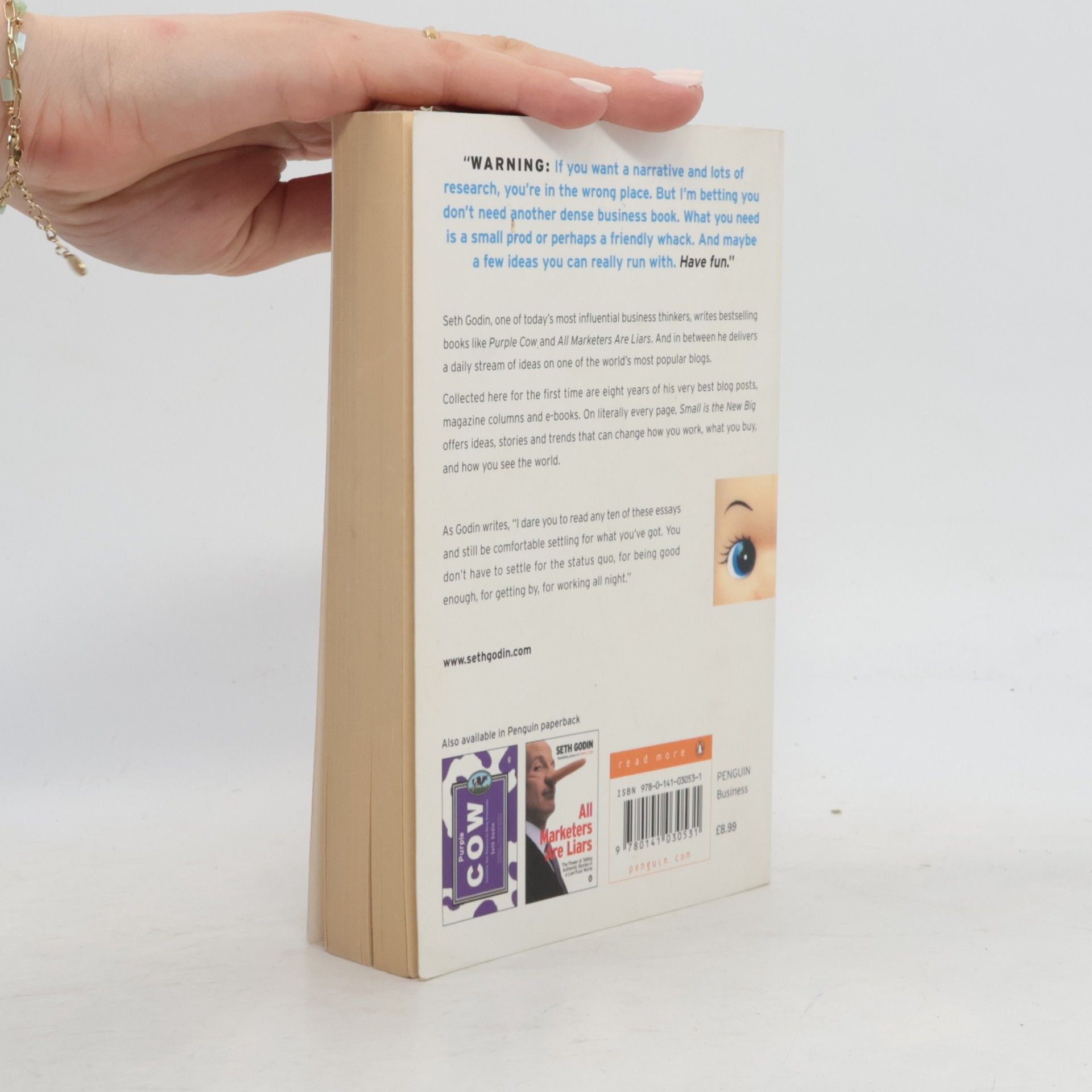 Seth Godin Small is the new big