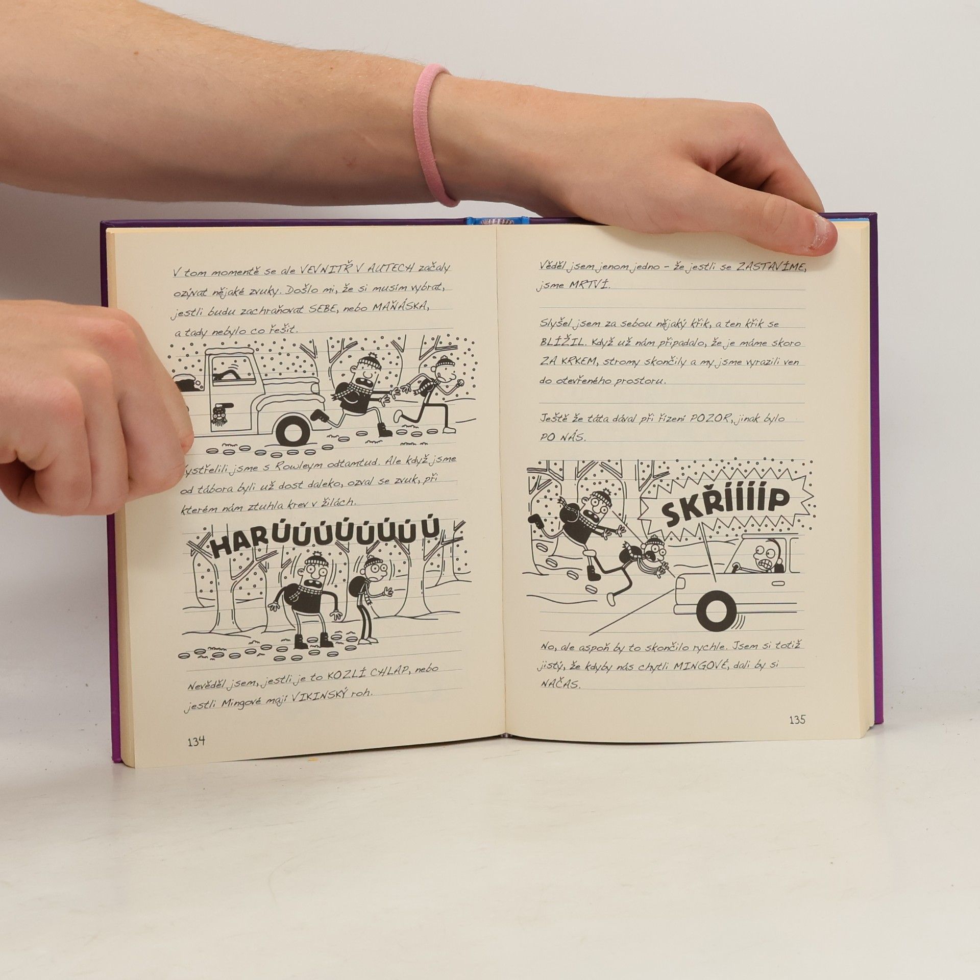 Jeff Kinney Deník malého poseroutky 13. Radosti zimy