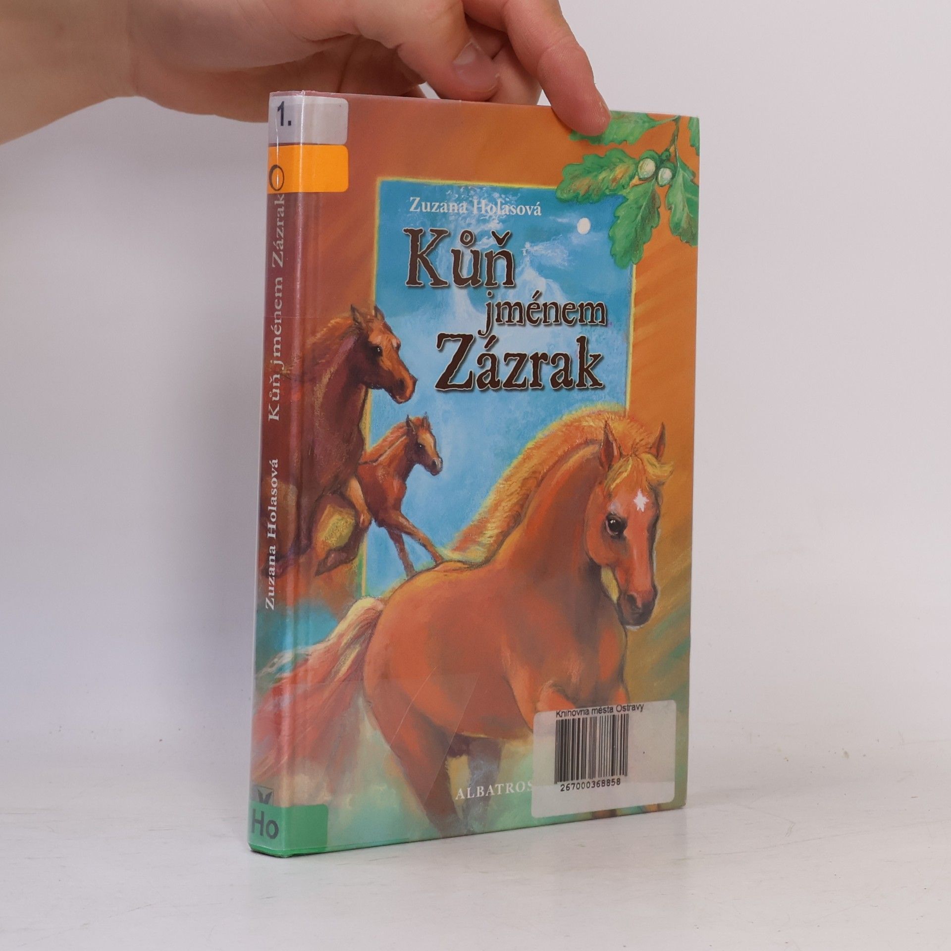 Zuzana Holasova Kůň jménem Zázrak