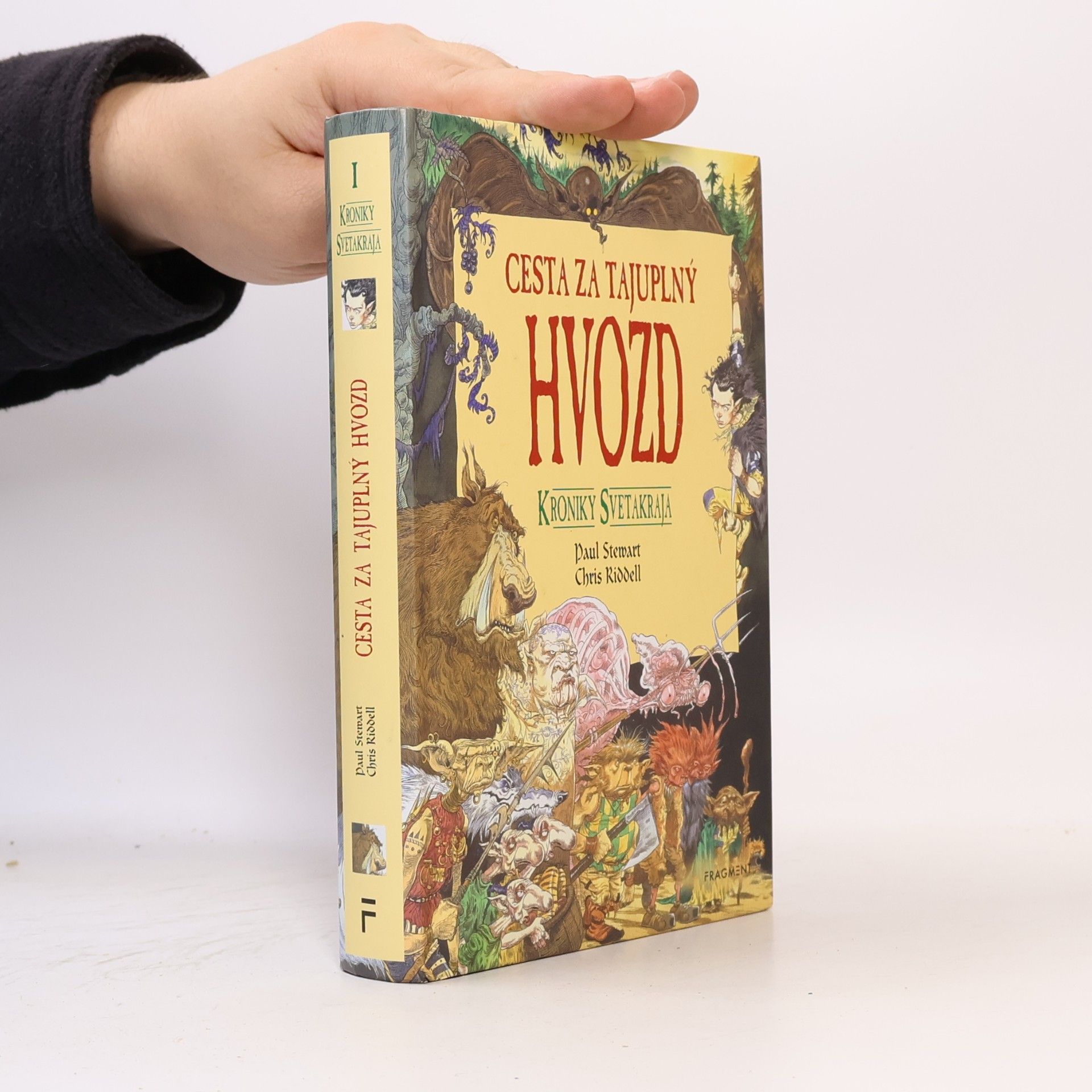 Chris Riddell Kroniky Svetakraja : Cesta za tajuplný hvozd