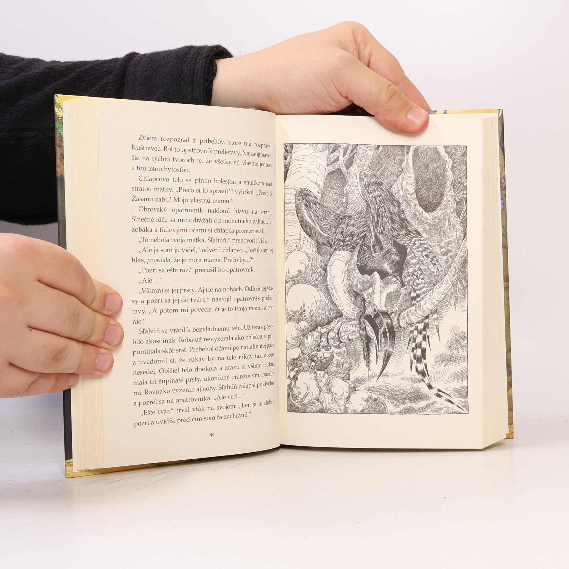 Chris Riddell Kroniky Svetakraja : Cesta za tajuplný hvozd