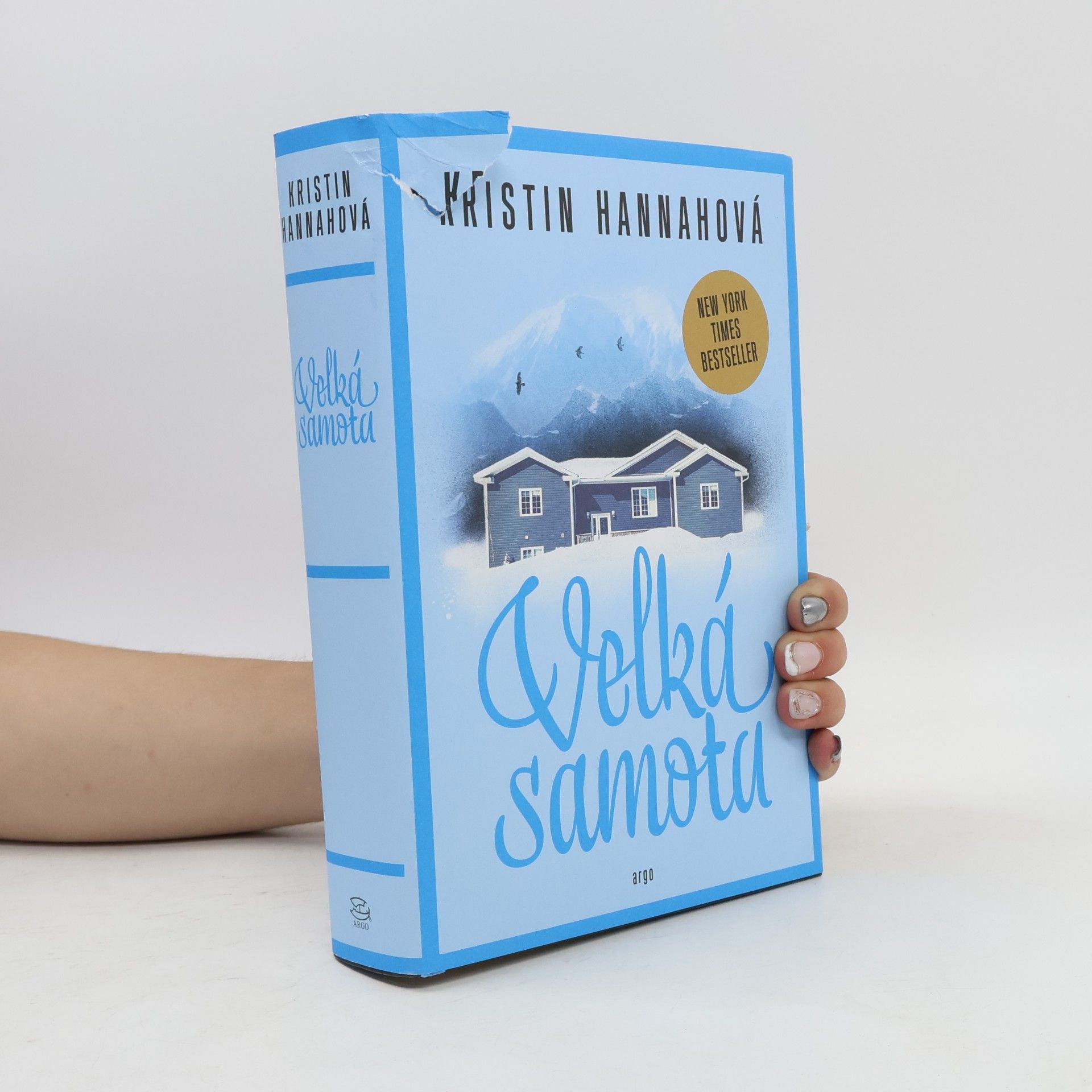 Kristin Hannah Velká samota
