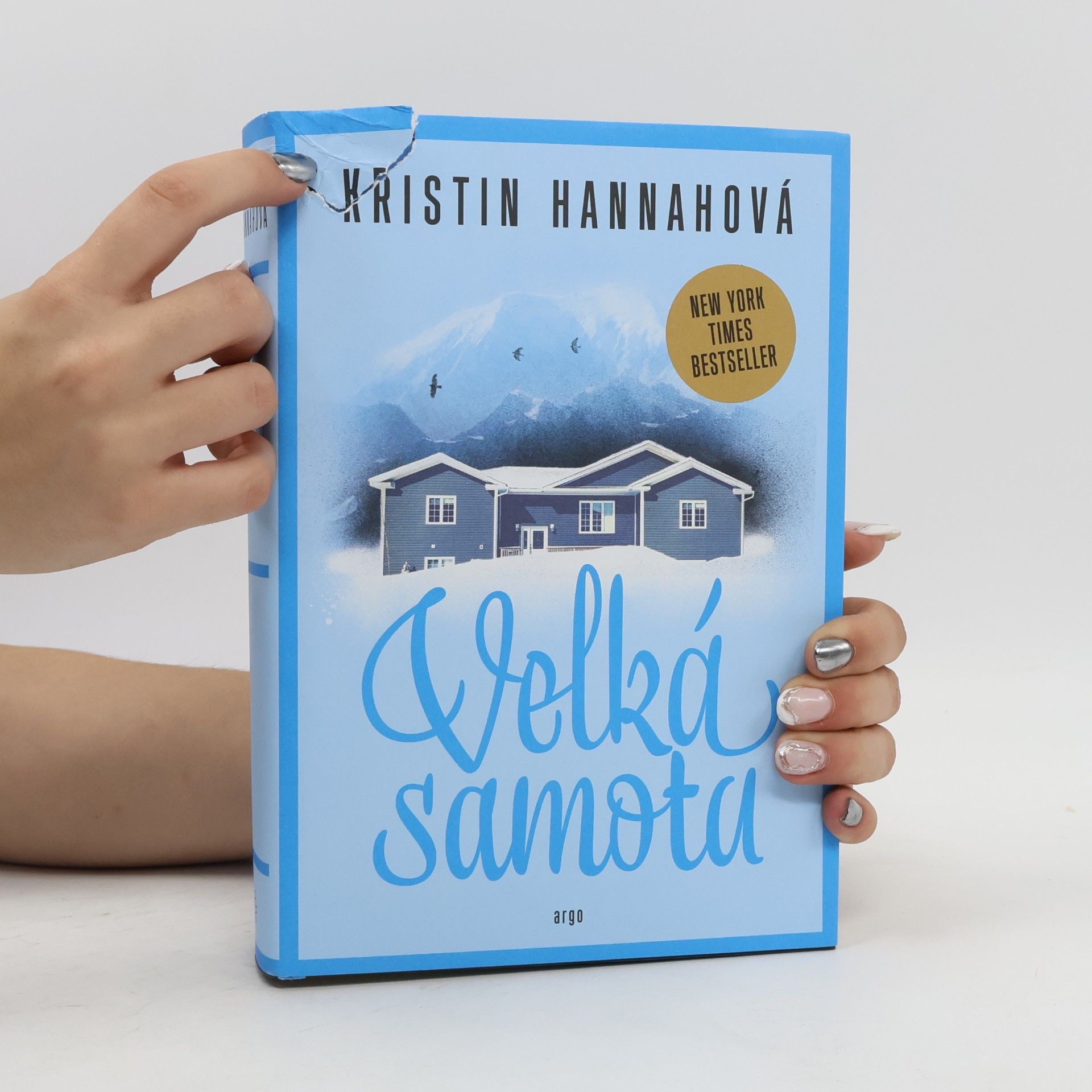 Kristin Hannah Velká samota