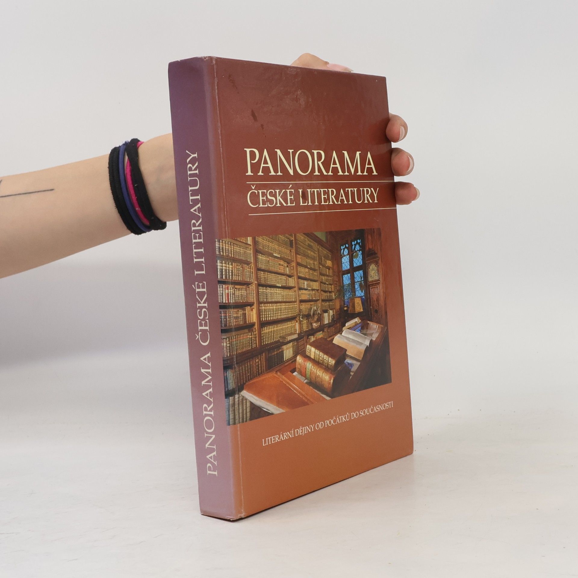Josef Galík Panorama české literatury. Literární dějiny od počátků do současnosti