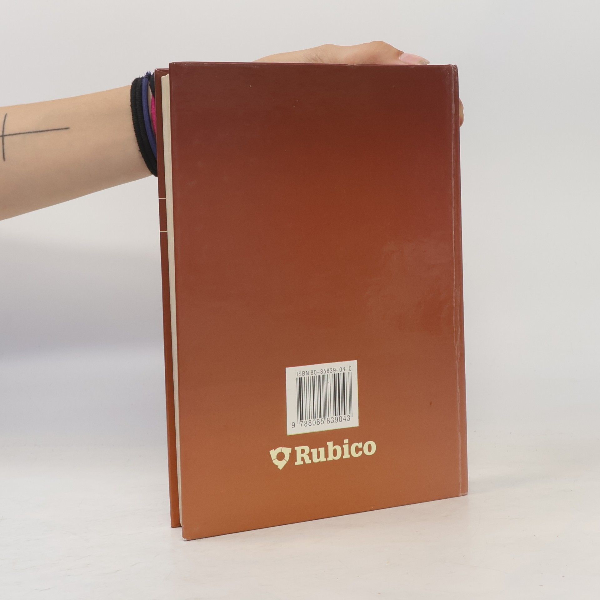 Autorenkollektiv Panorama české literatury. Literární dějiny od počátků do současnosti