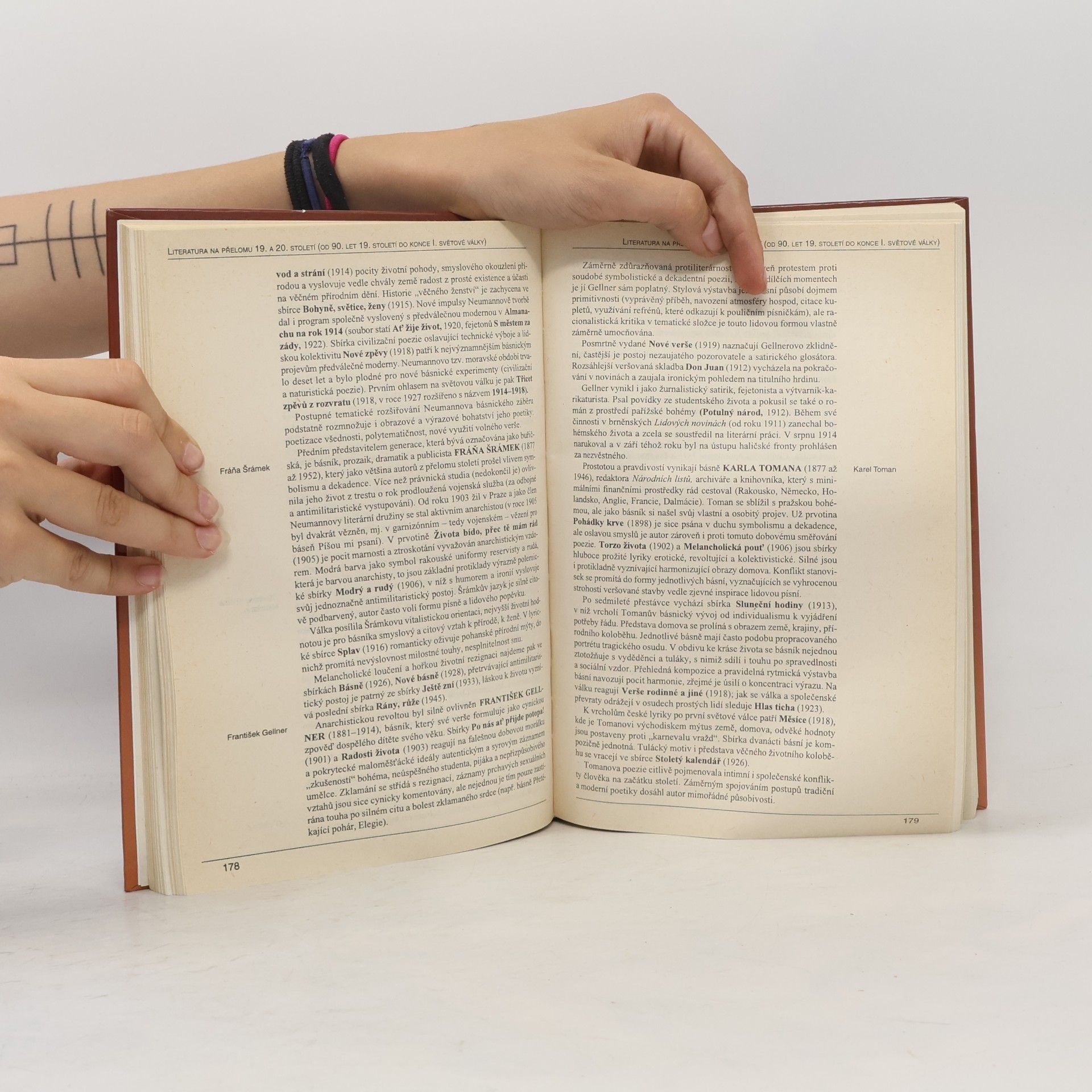 Autorenkollektiv Panorama české literatury. Literární dějiny od počátků do současnosti